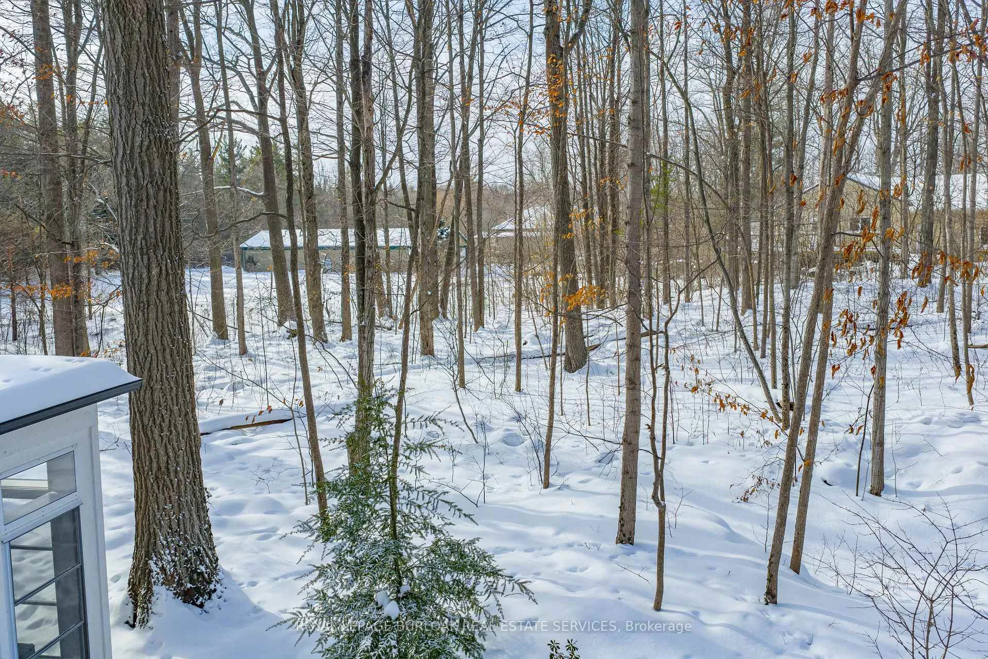 Photo 44 of 6556 McNiven Road, Burlington, Rural Burlington — HOMEH