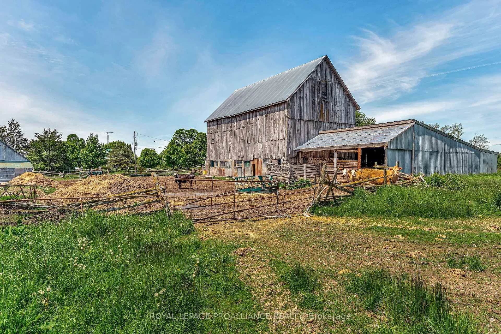 Photo 39 of 783 Wilson Road, Prince Edward County, Hallowell Ward — HOMEH