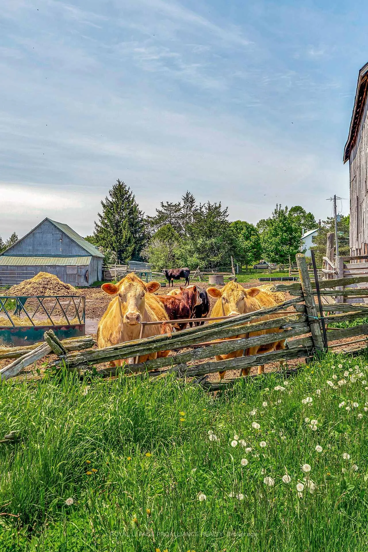 Photo 40 of 783 Wilson Road, Prince Edward County, Hallowell Ward — HOMEH