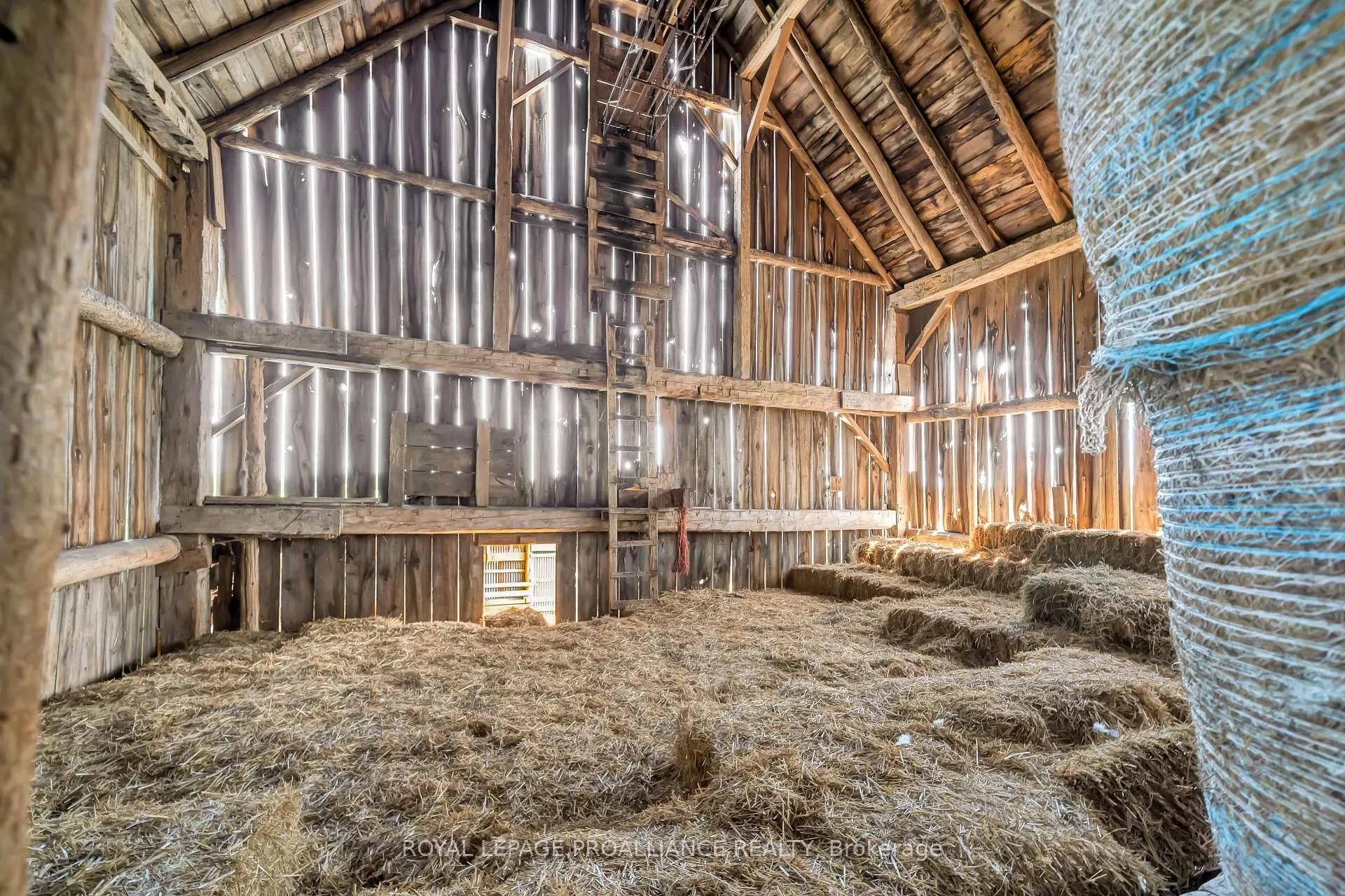 Photo 43 of 783 Wilson Road, Prince Edward County, Hallowell Ward — HOMEH