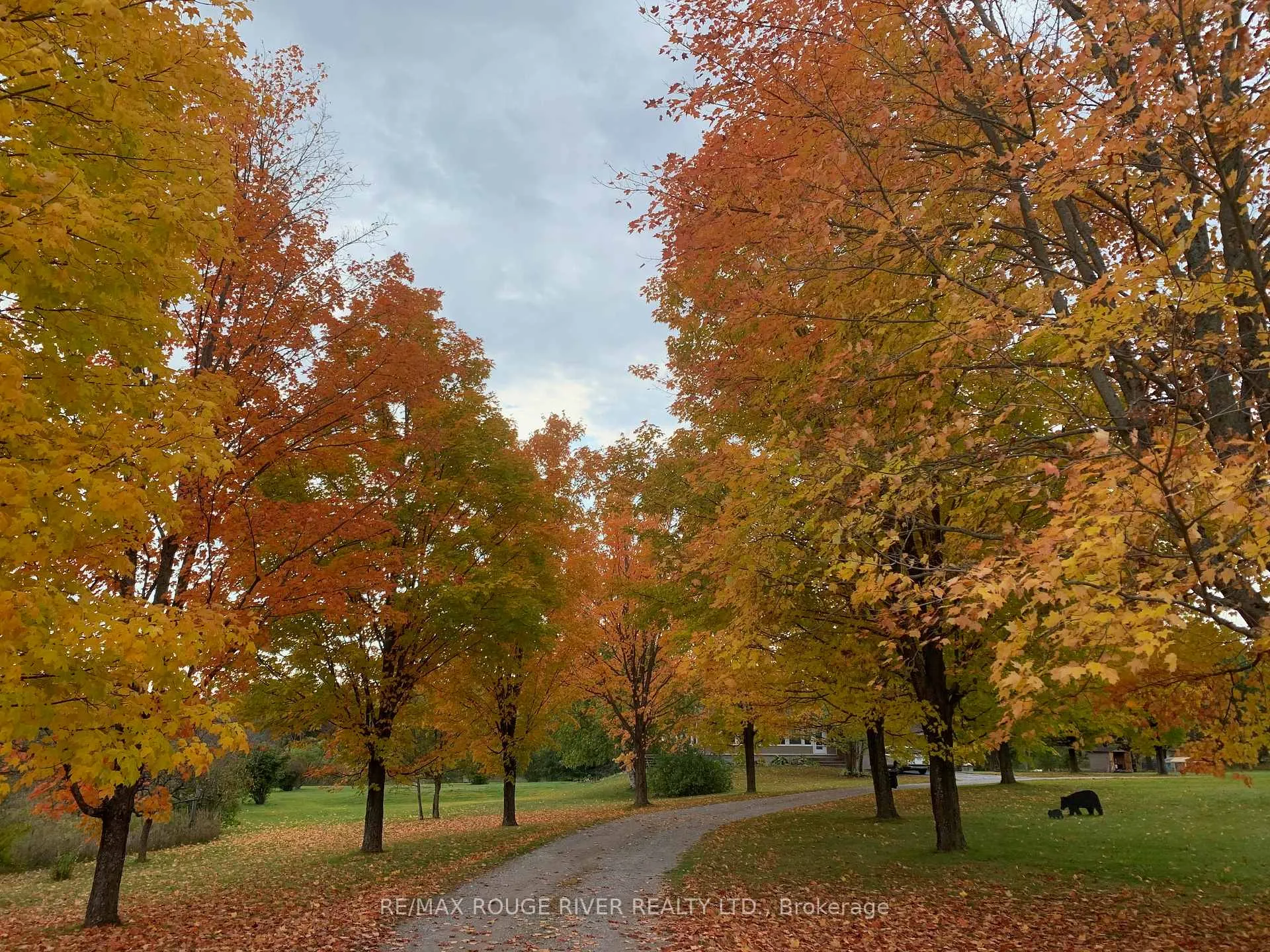 Photo 41 of 2401 15TH Line, Selwyn — HOMEH