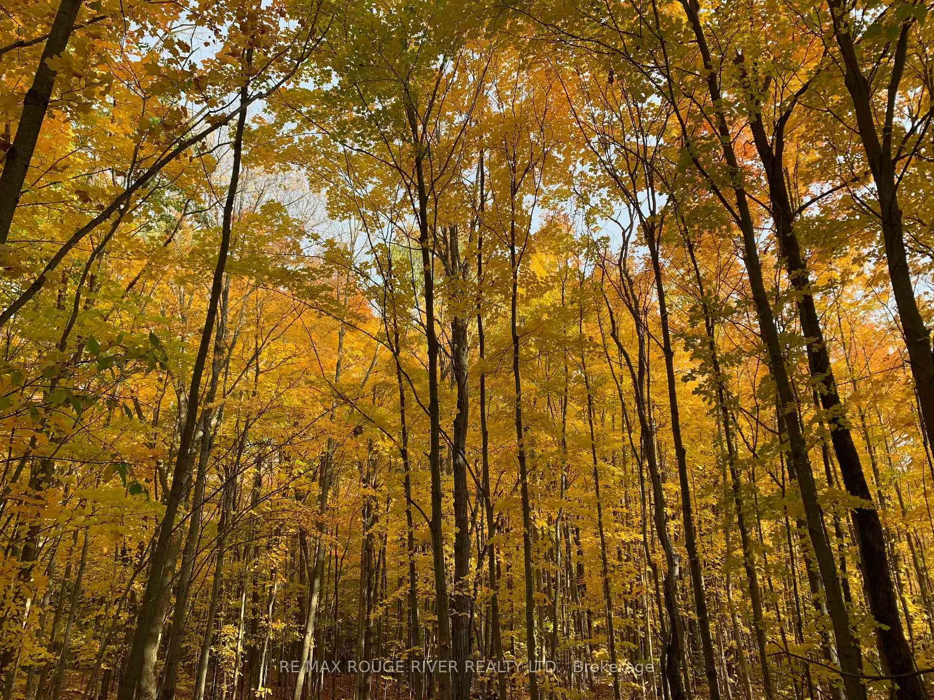 Photo 42 of 2401 15TH Line, Selwyn — HOMEH