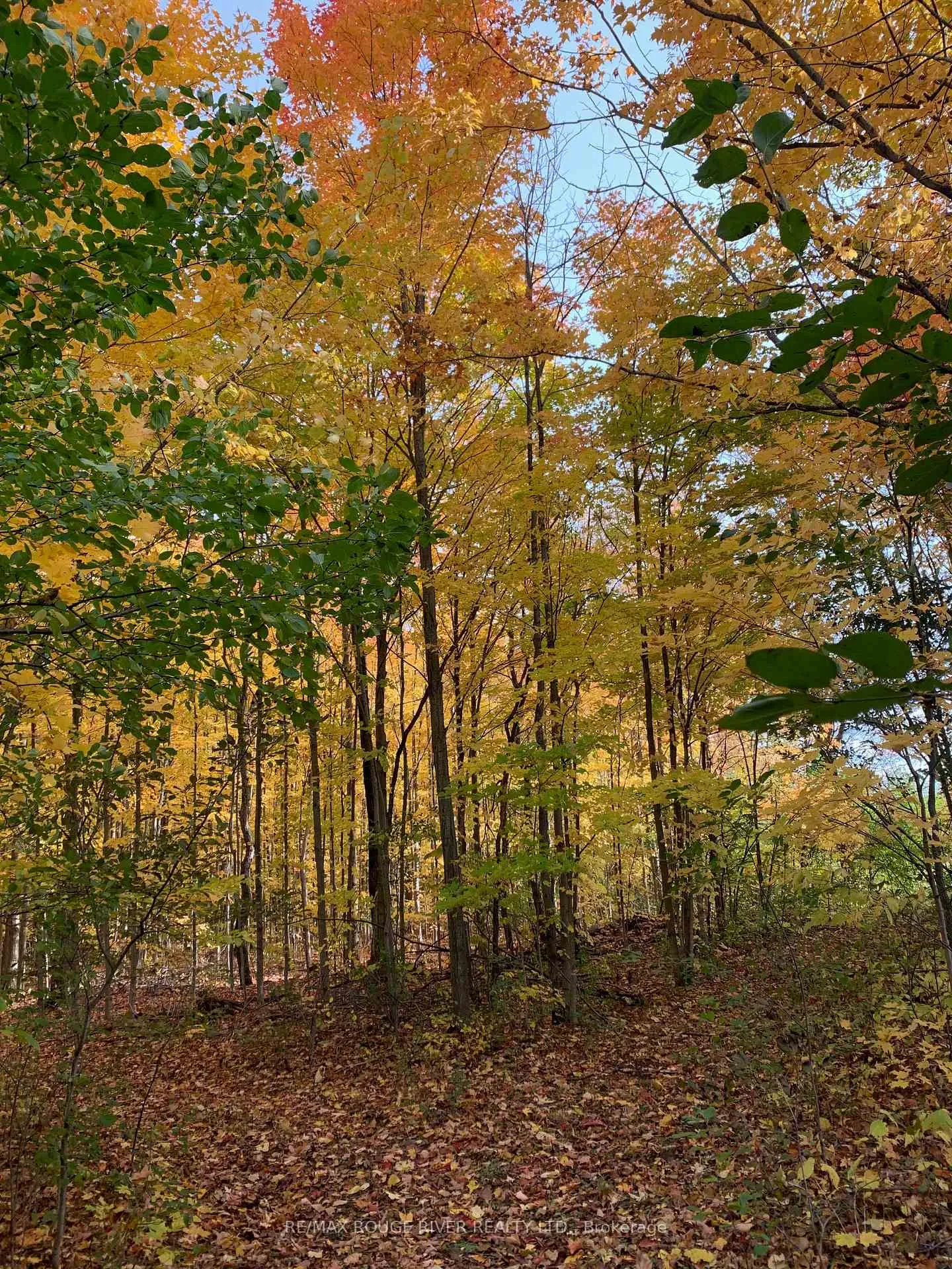 Photo 43 of 2401 15TH Line, Selwyn — HOMEH
