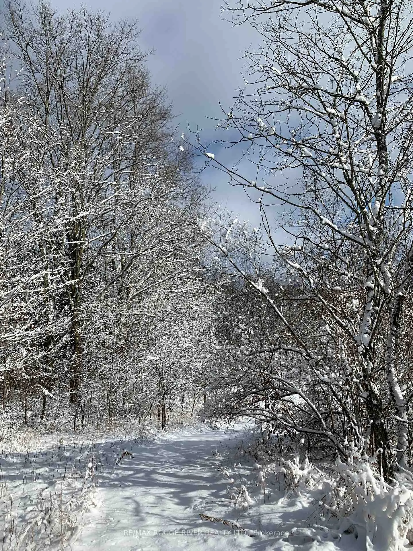 Photo 44 of 2401 15TH Line, Selwyn — HOMEH