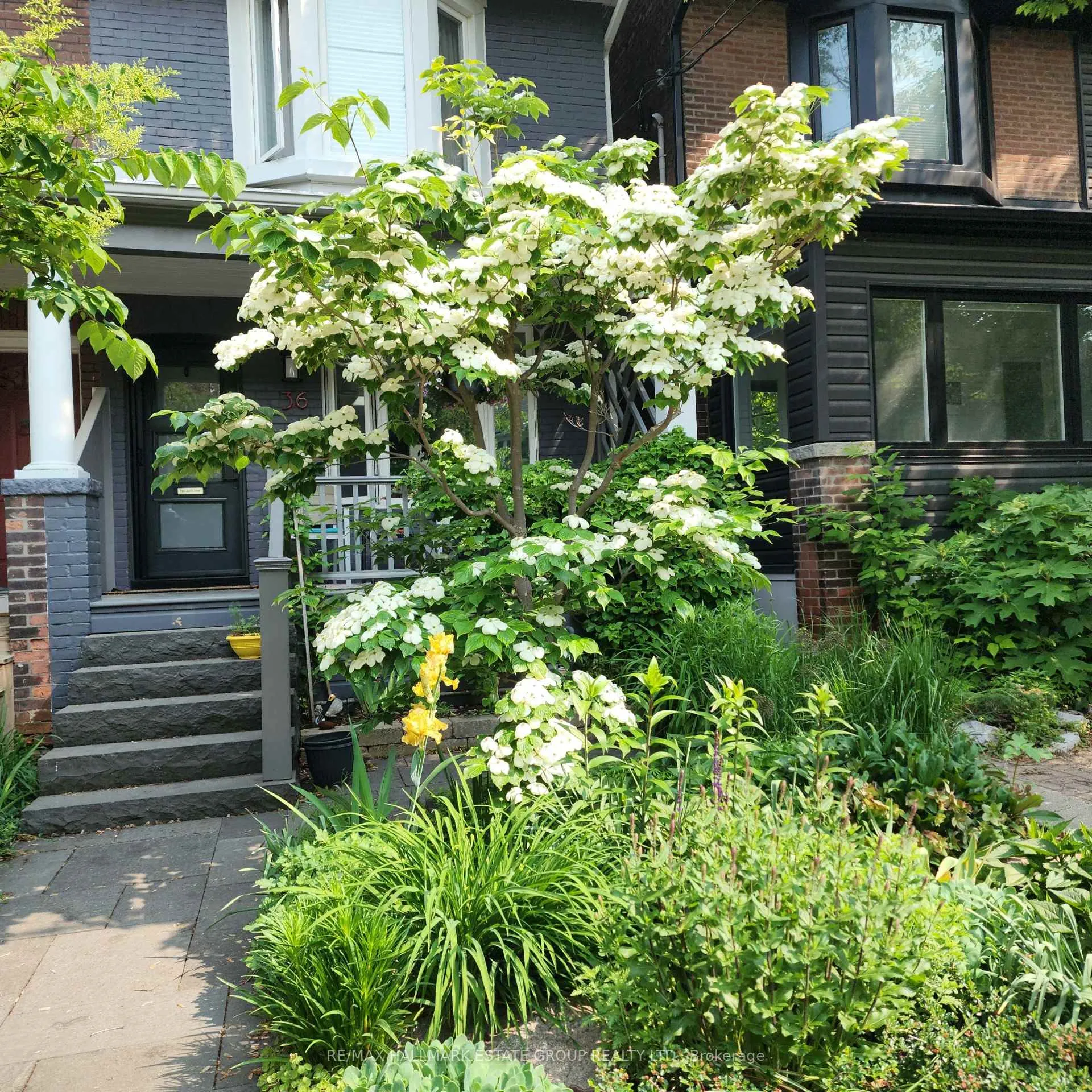 Photo 3 of 36 Hazelwood Avenue, Toronto, Blake-Jones — HOMEH