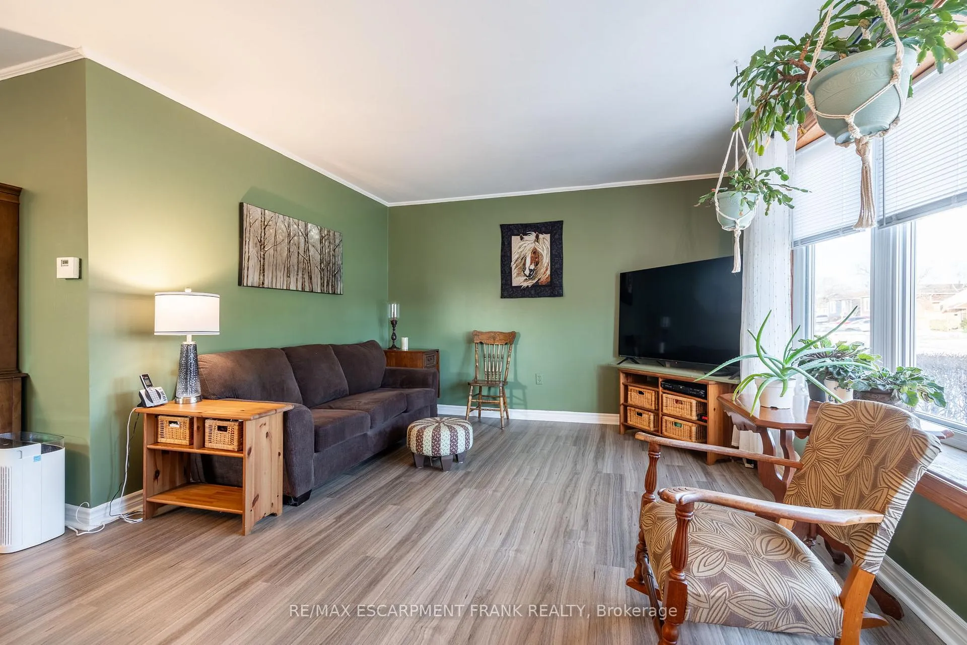 Photo 5 of 58 Lambert Street, Hamilton, Lawfield — HOMEH