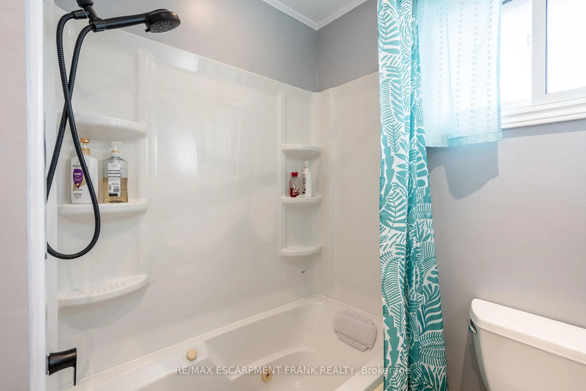 Photo 22 of 58 Lambert Street, Hamilton, Lawfield — HOMEH