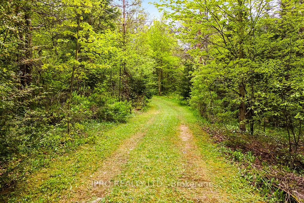 Photo 28 of 604102 Sideroad 60, Chatsworth — HOMEH