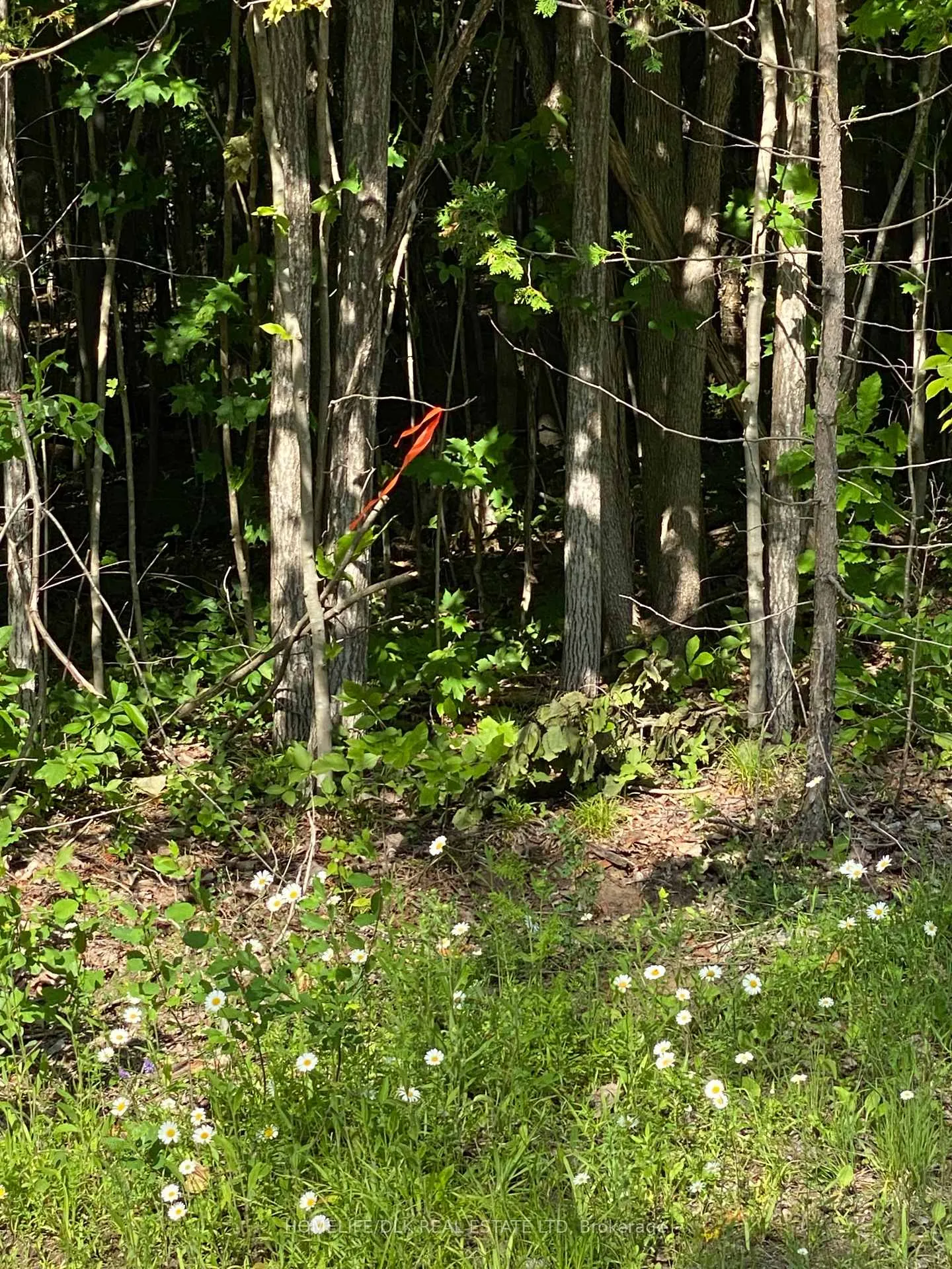 Photo 1 of 00 Groveton Road S, Edwardsburgh/Cardinal, Edwardsburgh/Cardinal Twp — HOMEH