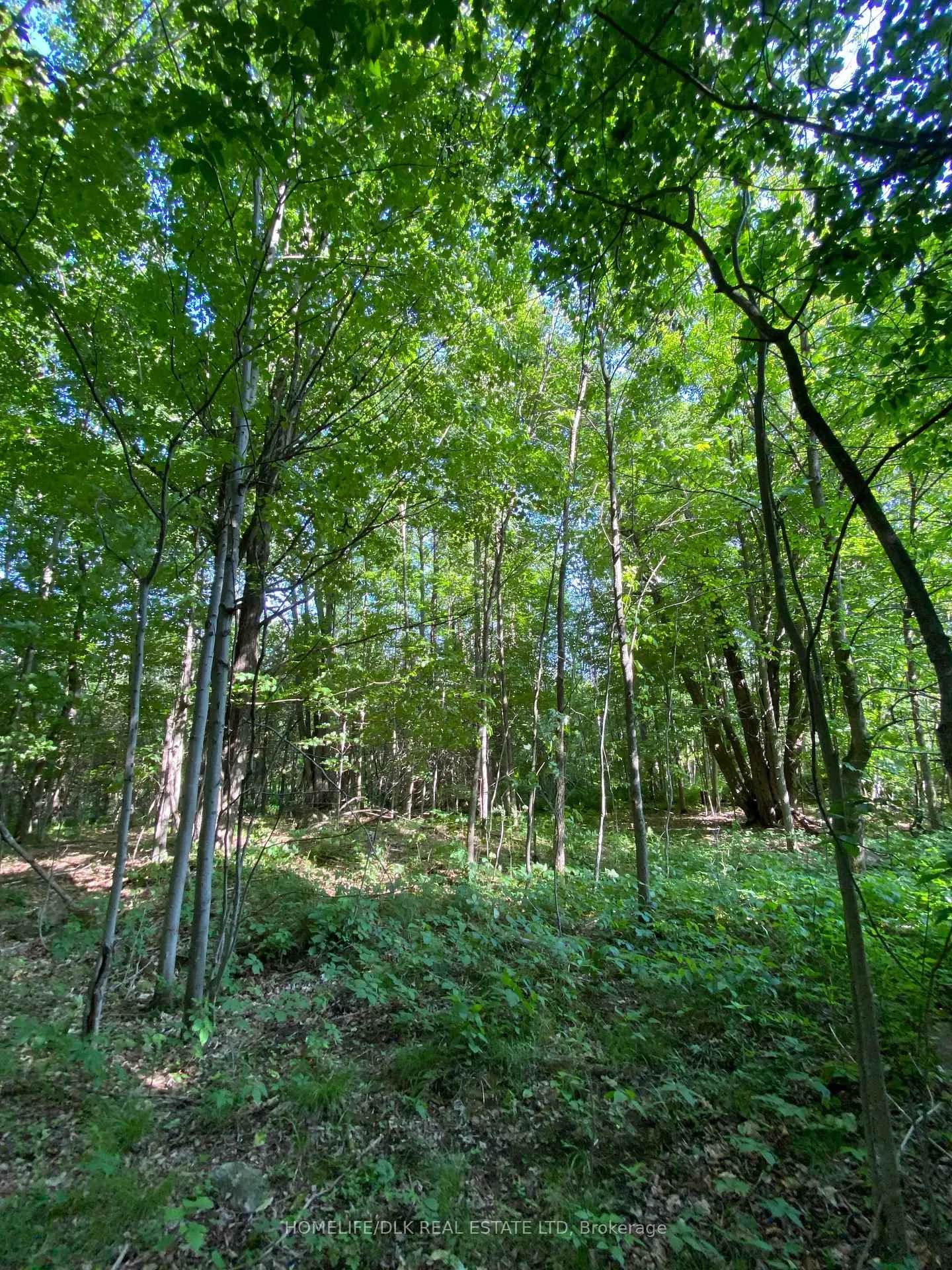 Photo 2 of 00 Groveton Road S, Edwardsburgh/Cardinal, Edwardsburgh/Cardinal Twp — HOMEH