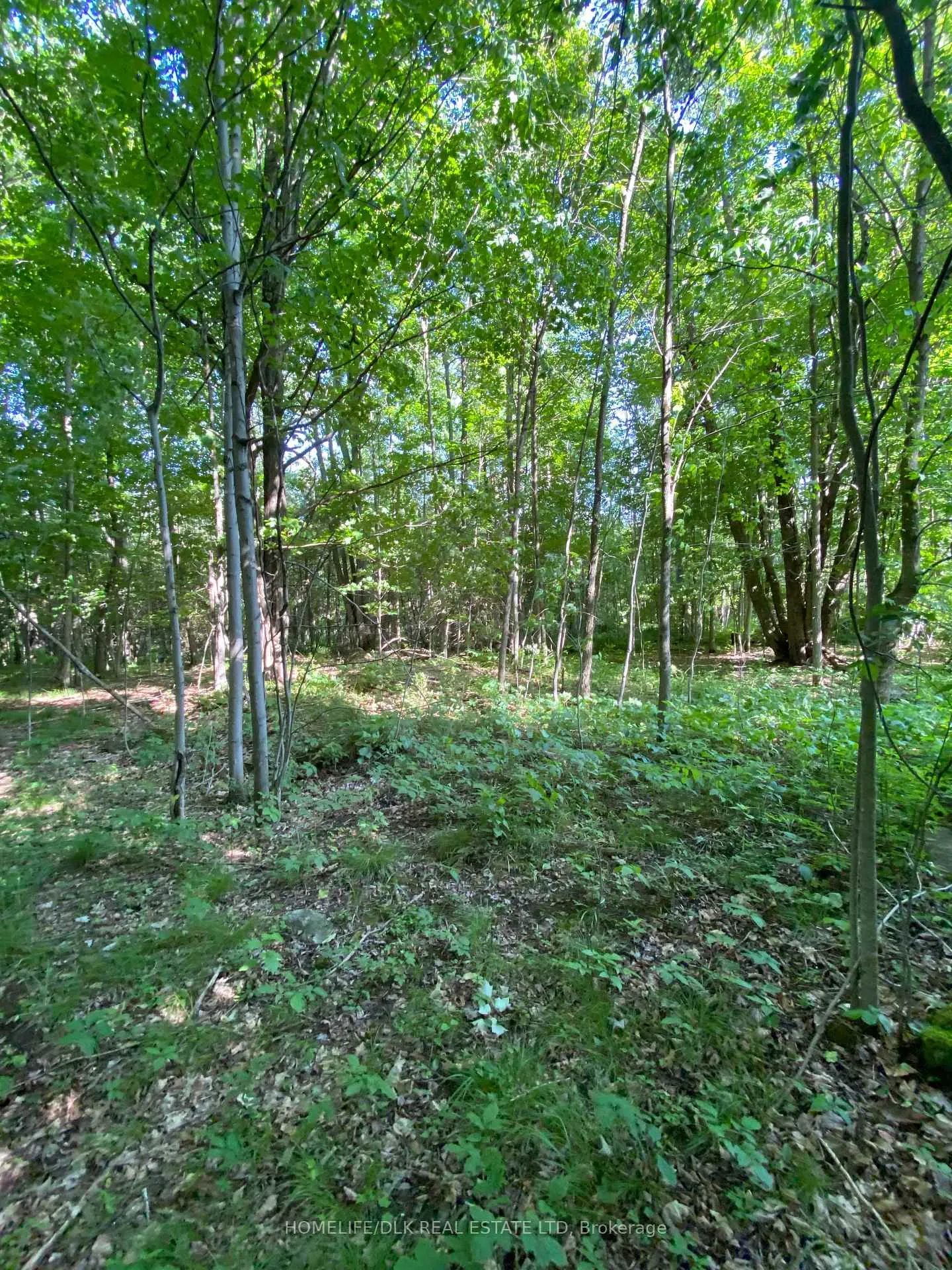 Photo 3 of 00 Groveton Road S, Edwardsburgh/Cardinal, Edwardsburgh/Cardinal Twp — HOMEH