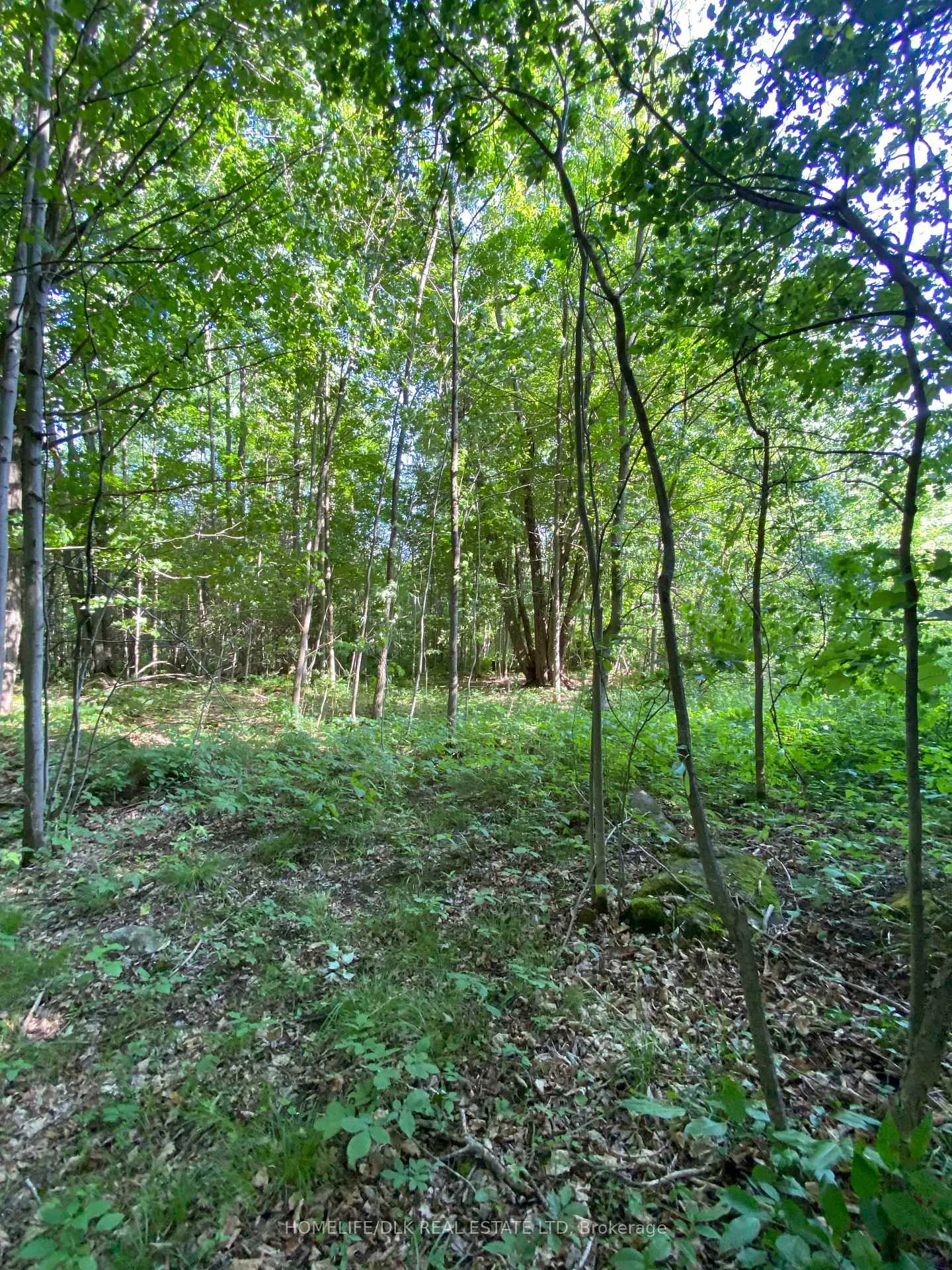 Photo 4 of 00 Groveton Road S, Edwardsburgh/Cardinal, Edwardsburgh/Cardinal Twp — HOMEH