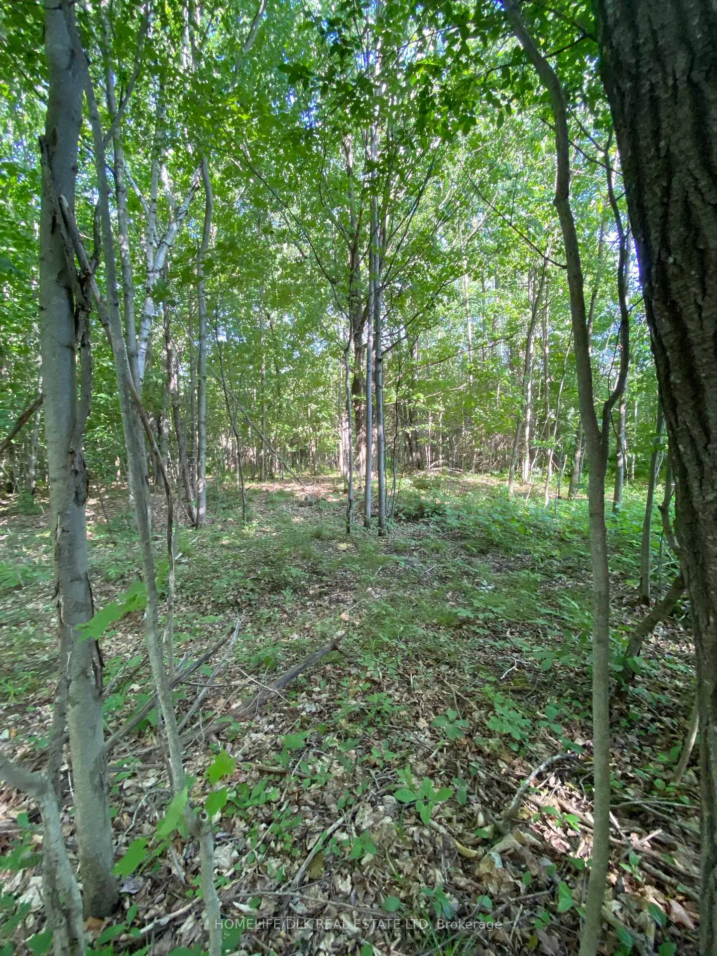 Photo 5 of 00 Groveton Road S, Edwardsburgh/Cardinal, Edwardsburgh/Cardinal Twp — HOMEH