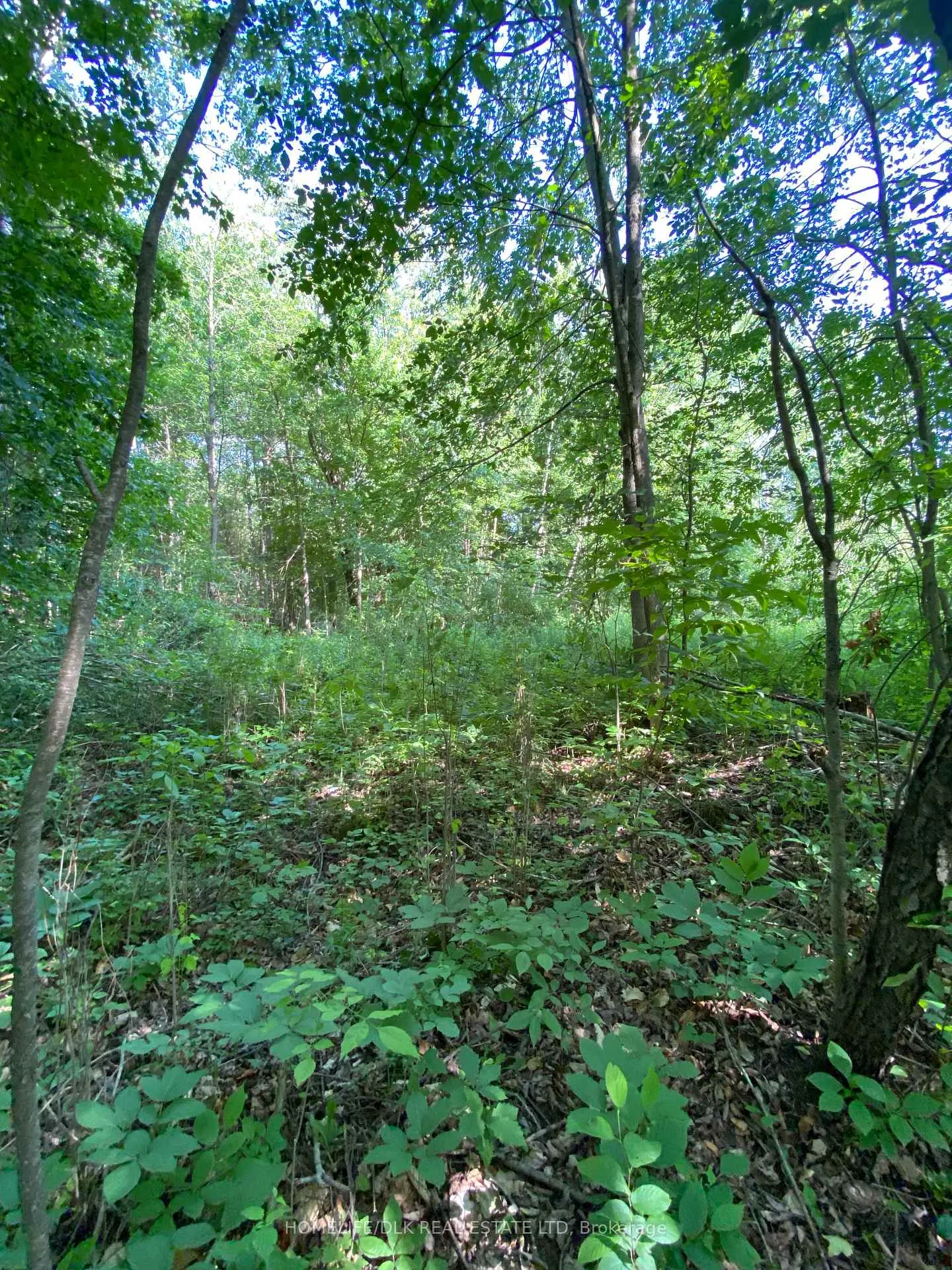 Photo 6 of 00 Groveton Road S, Edwardsburgh/Cardinal, Edwardsburgh/Cardinal Twp — HOMEH