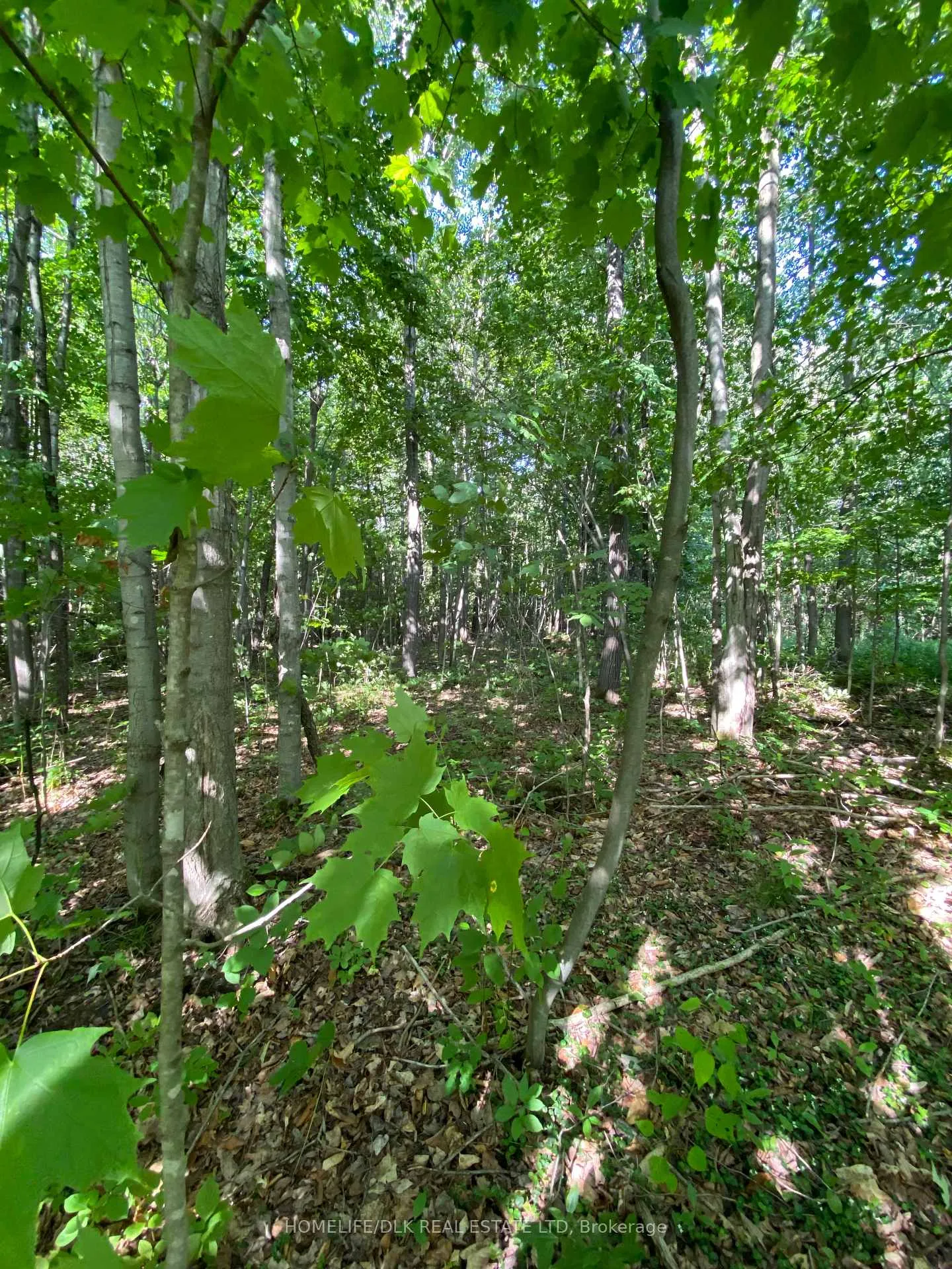 Photo 7 of 00 Groveton Road S, Edwardsburgh/Cardinal, Edwardsburgh/Cardinal Twp — HOMEH