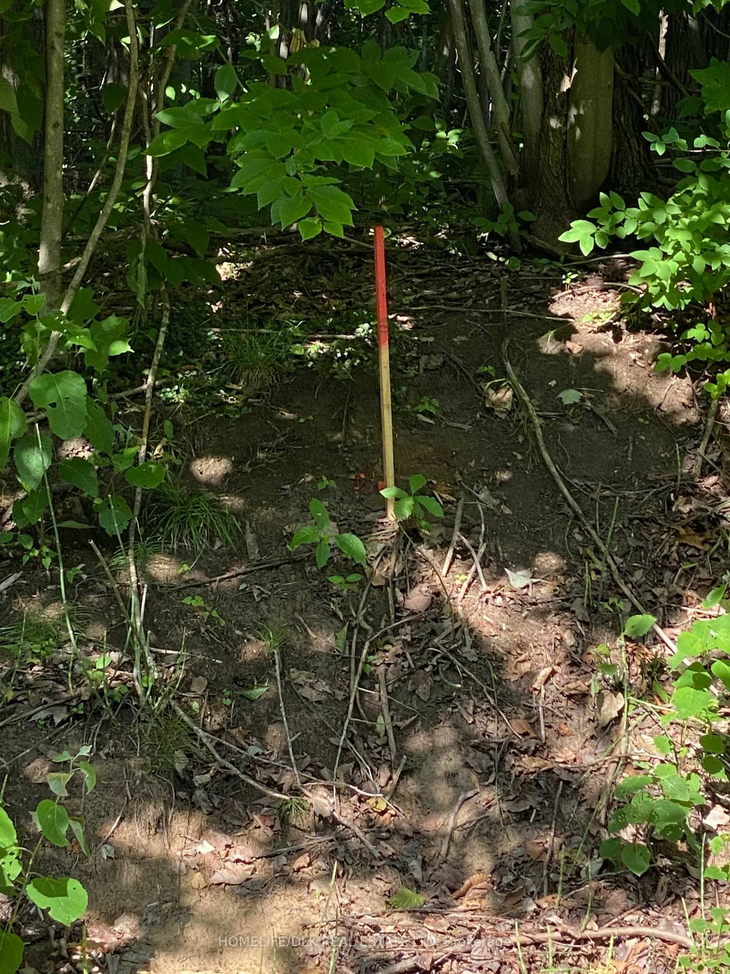 Photo 9 of 00 Groveton Road S, Edwardsburgh/Cardinal, Edwardsburgh/Cardinal Twp — HOMEH