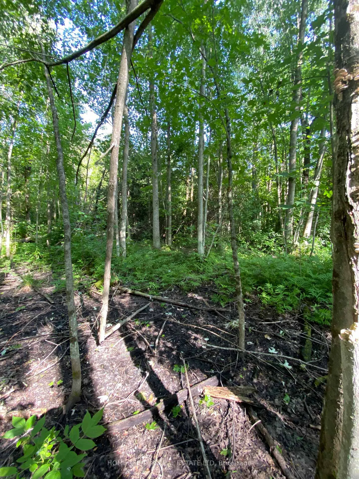Photo 10 of 00 Groveton Road S, Edwardsburgh/Cardinal, Edwardsburgh/Cardinal Twp — HOMEH