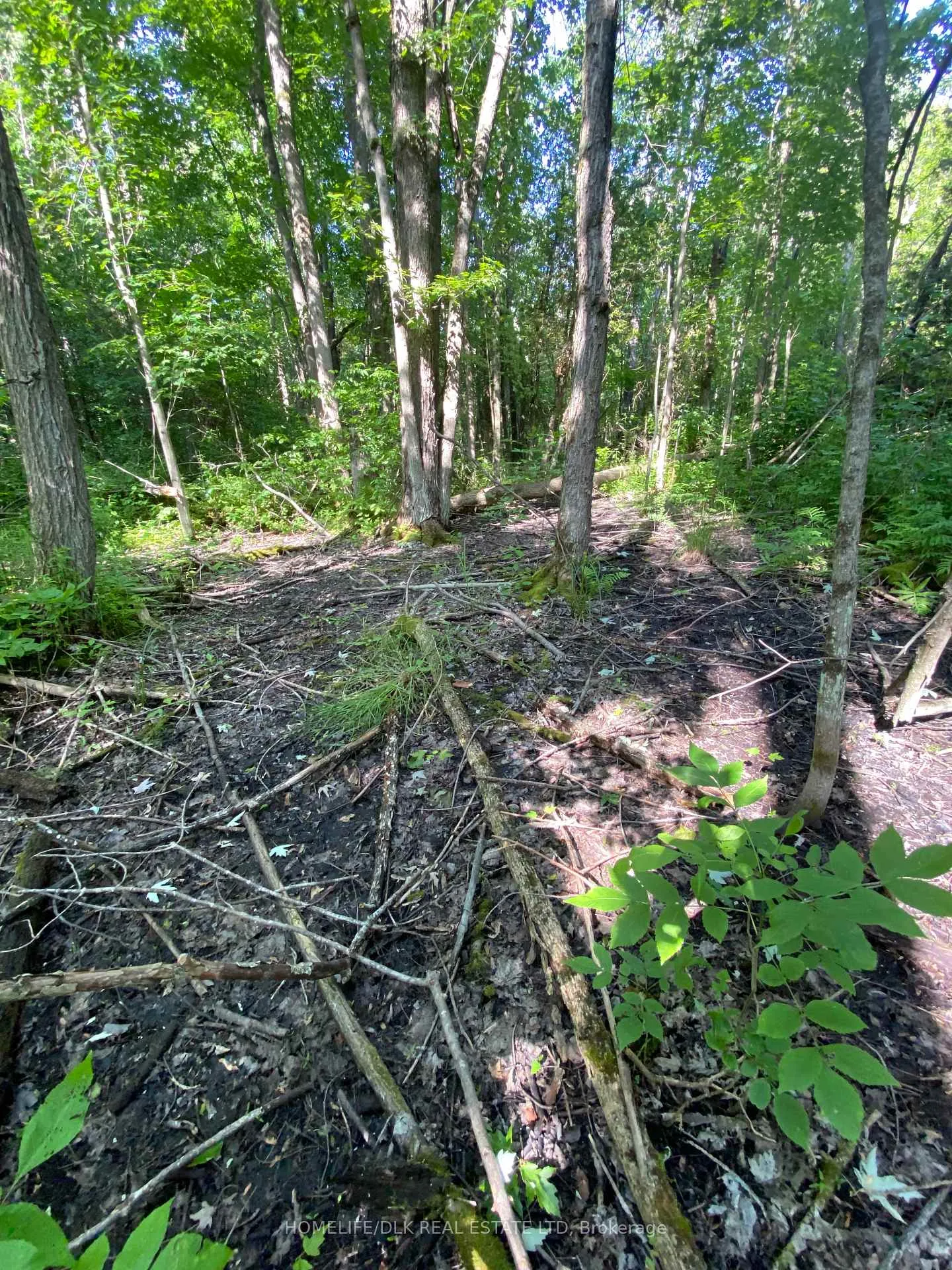 Photo 11 of 00 Groveton Road S, Edwardsburgh/Cardinal, Edwardsburgh/Cardinal Twp — HOMEH