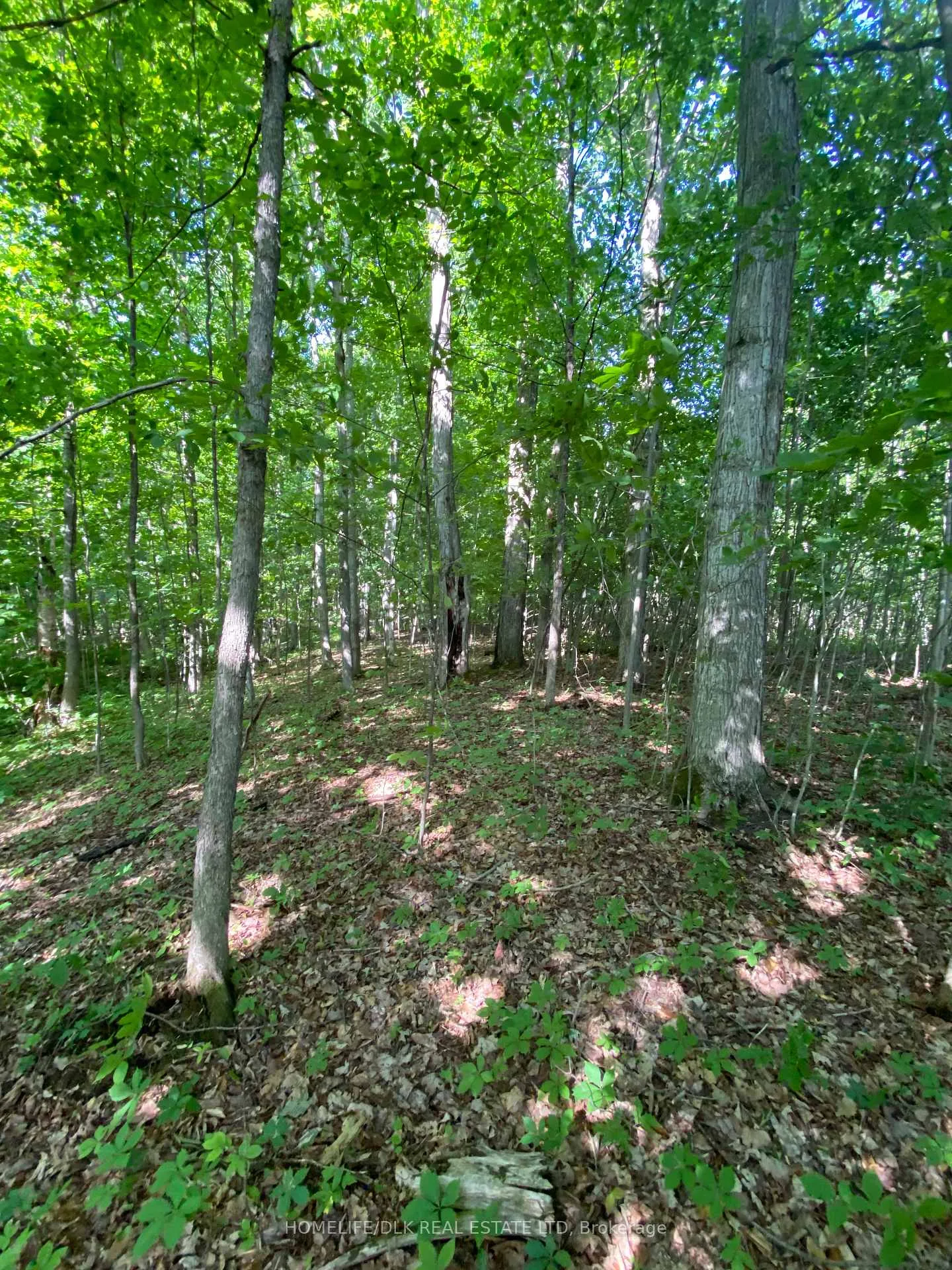 Photo 16 of 00 Groveton Road S, Edwardsburgh/Cardinal, Edwardsburgh/Cardinal Twp — HOMEH
