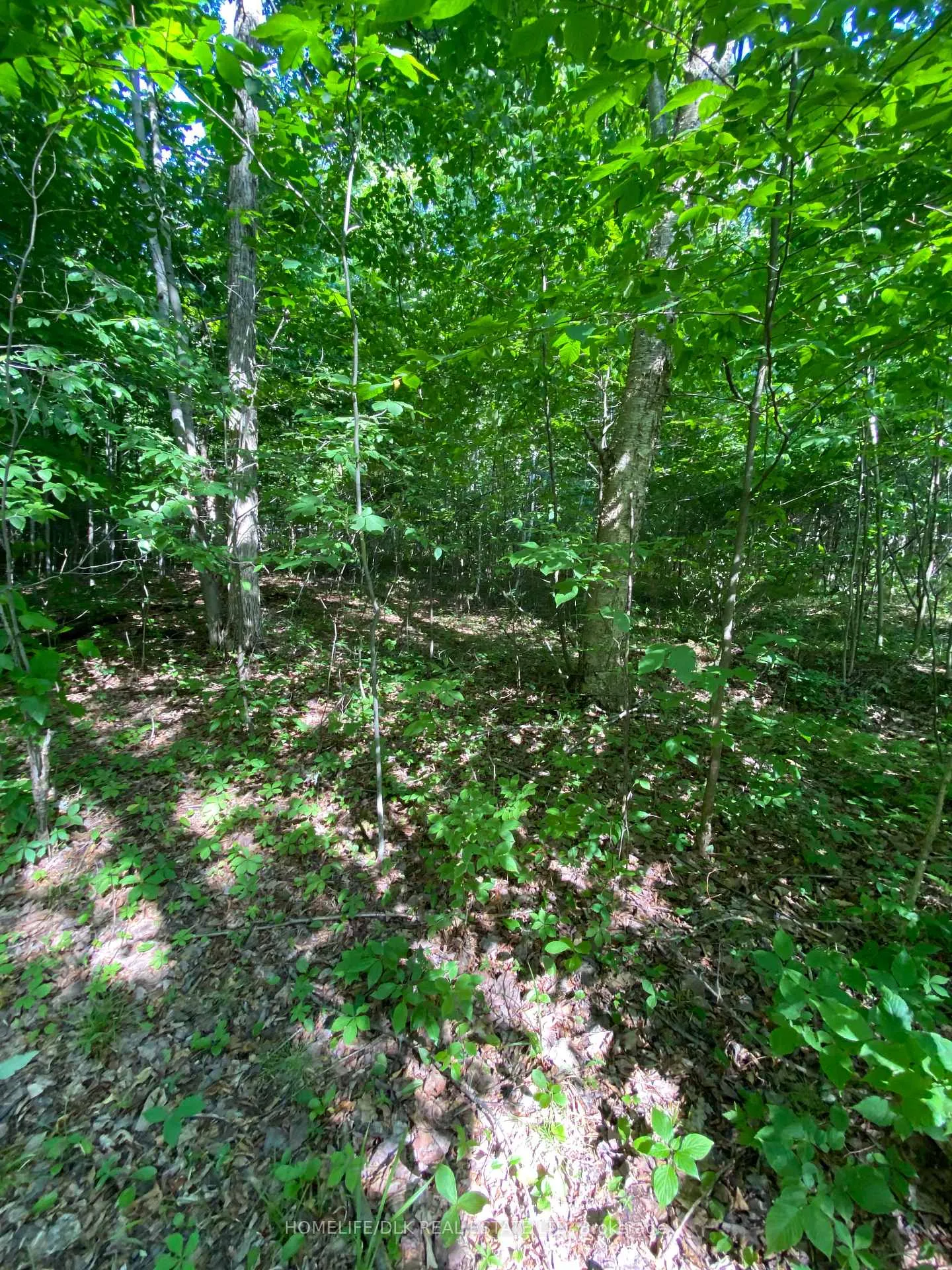 Photo 17 of 00 Groveton Road S, Edwardsburgh/Cardinal, Edwardsburgh/Cardinal Twp — HOMEH