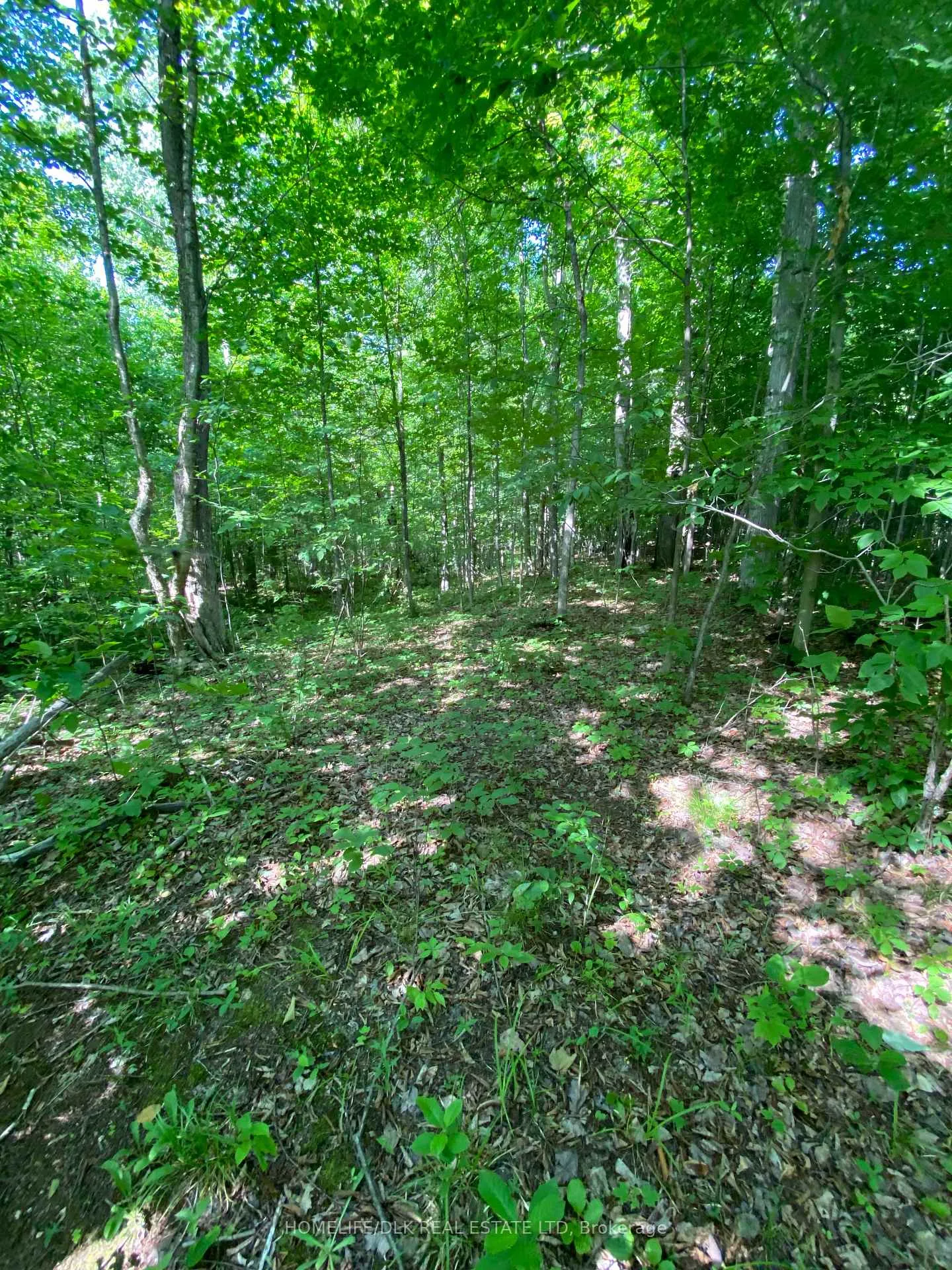 Photo 18 of 00 Groveton Road S, Edwardsburgh/Cardinal, Edwardsburgh/Cardinal Twp — HOMEH