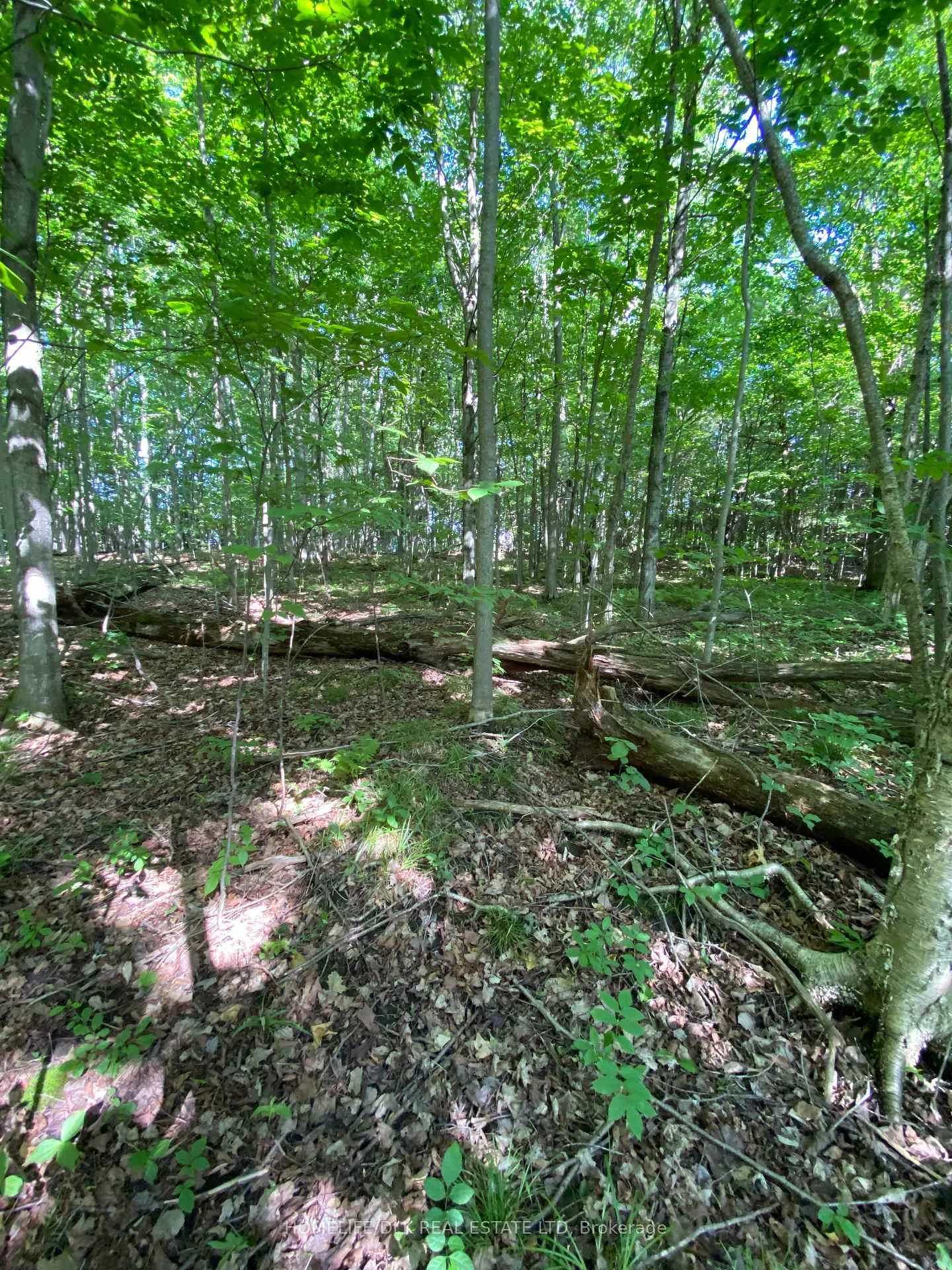Photo 20 of 00 Groveton Road S, Edwardsburgh/Cardinal, Edwardsburgh/Cardinal Twp — HOMEH