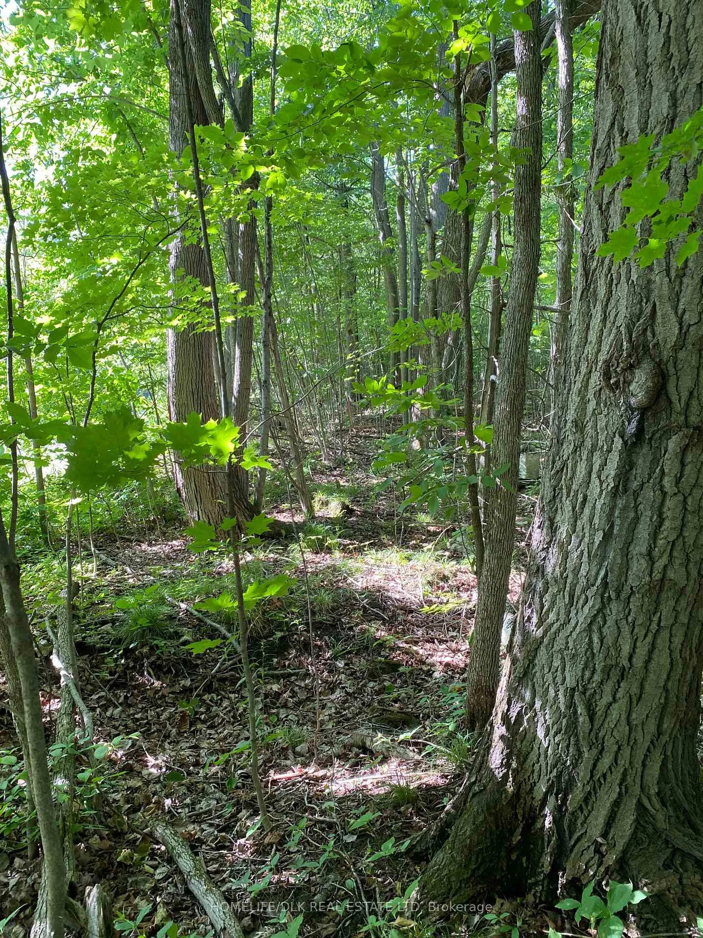 Photo 21 of 00 Groveton Road S, Edwardsburgh/Cardinal, Edwardsburgh/Cardinal Twp — HOMEH
