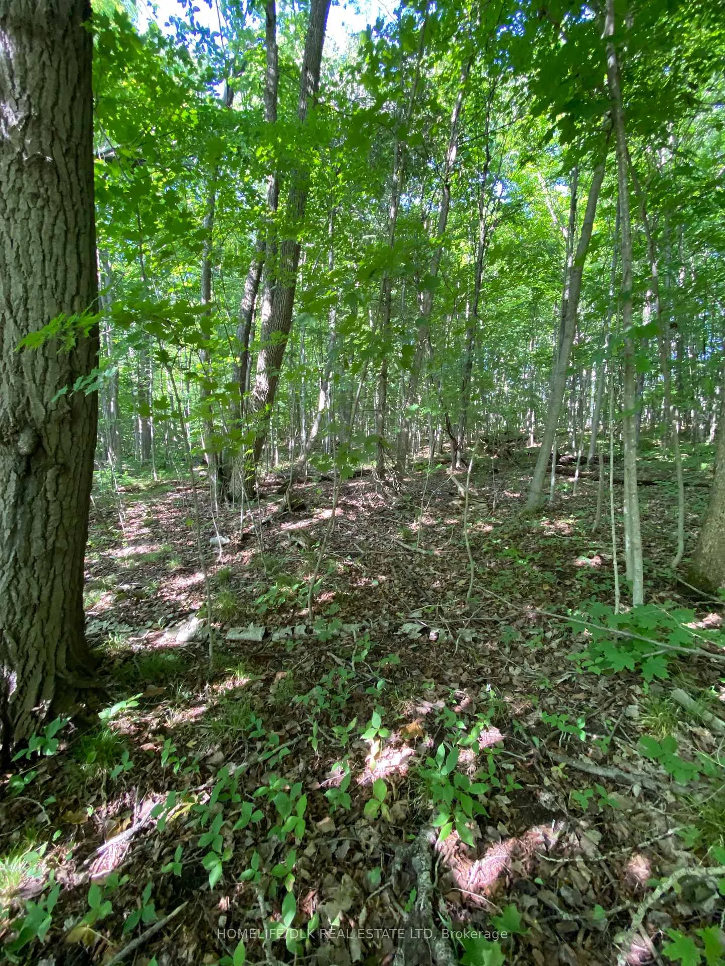 Photo 22 of 00 Groveton Road S, Edwardsburgh/Cardinal, Edwardsburgh/Cardinal Twp — HOMEH
