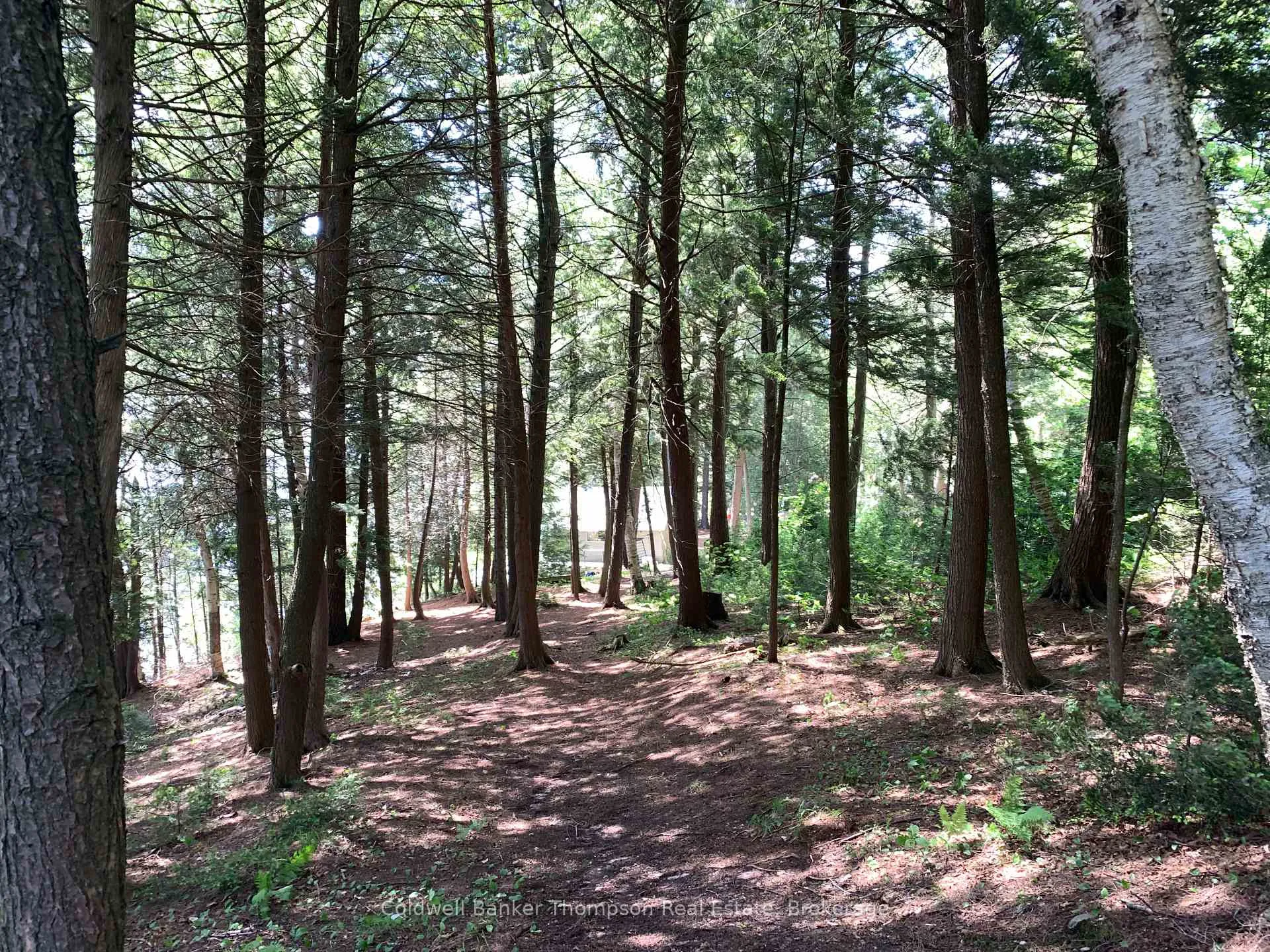 Photo 30 of Pt Lot 10 Con 5, South River — HOMEH