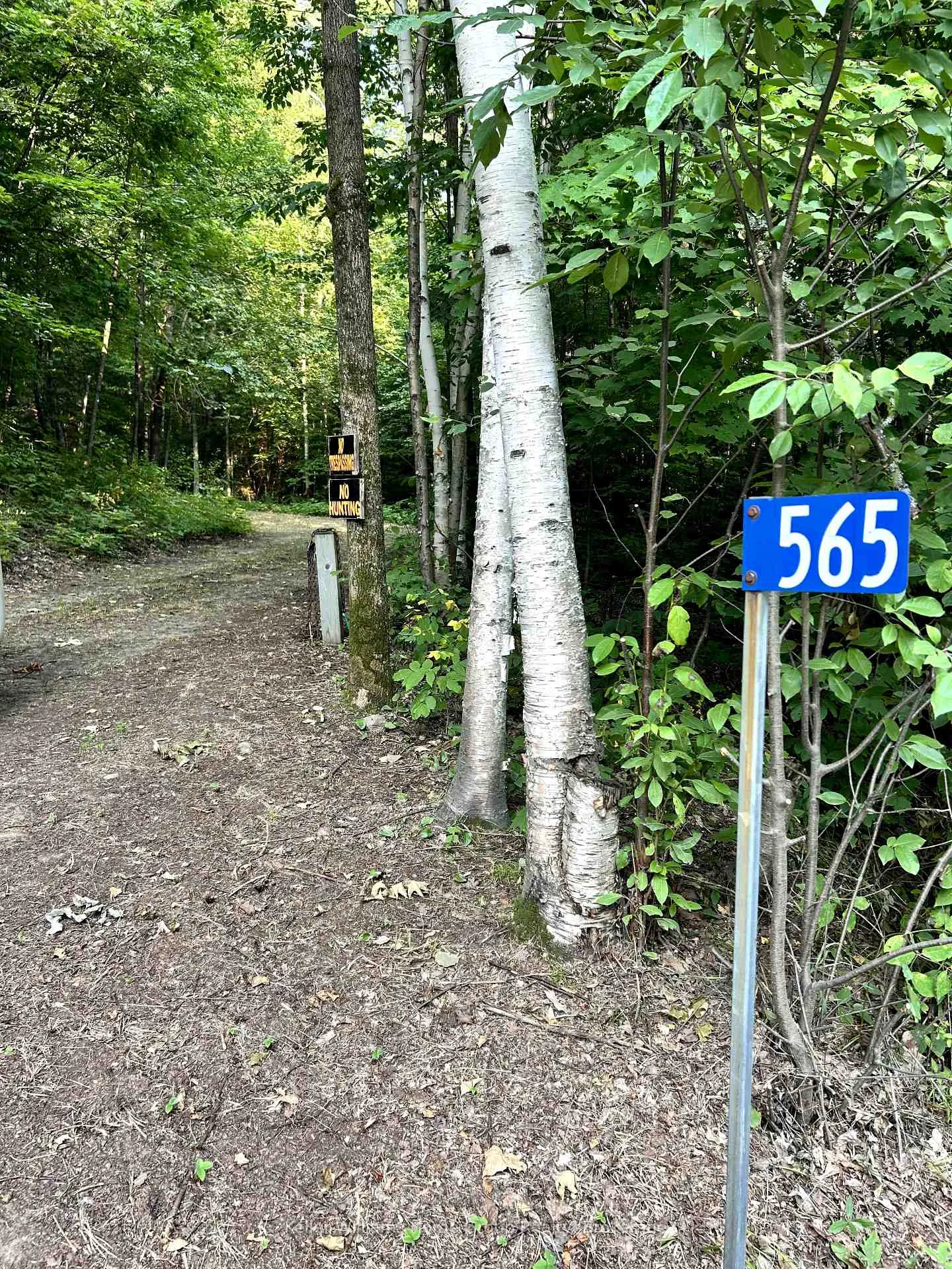 Photo 2 of 565 Moxam Road, Hastings Highlands, Monteagle Ward — HOMEH