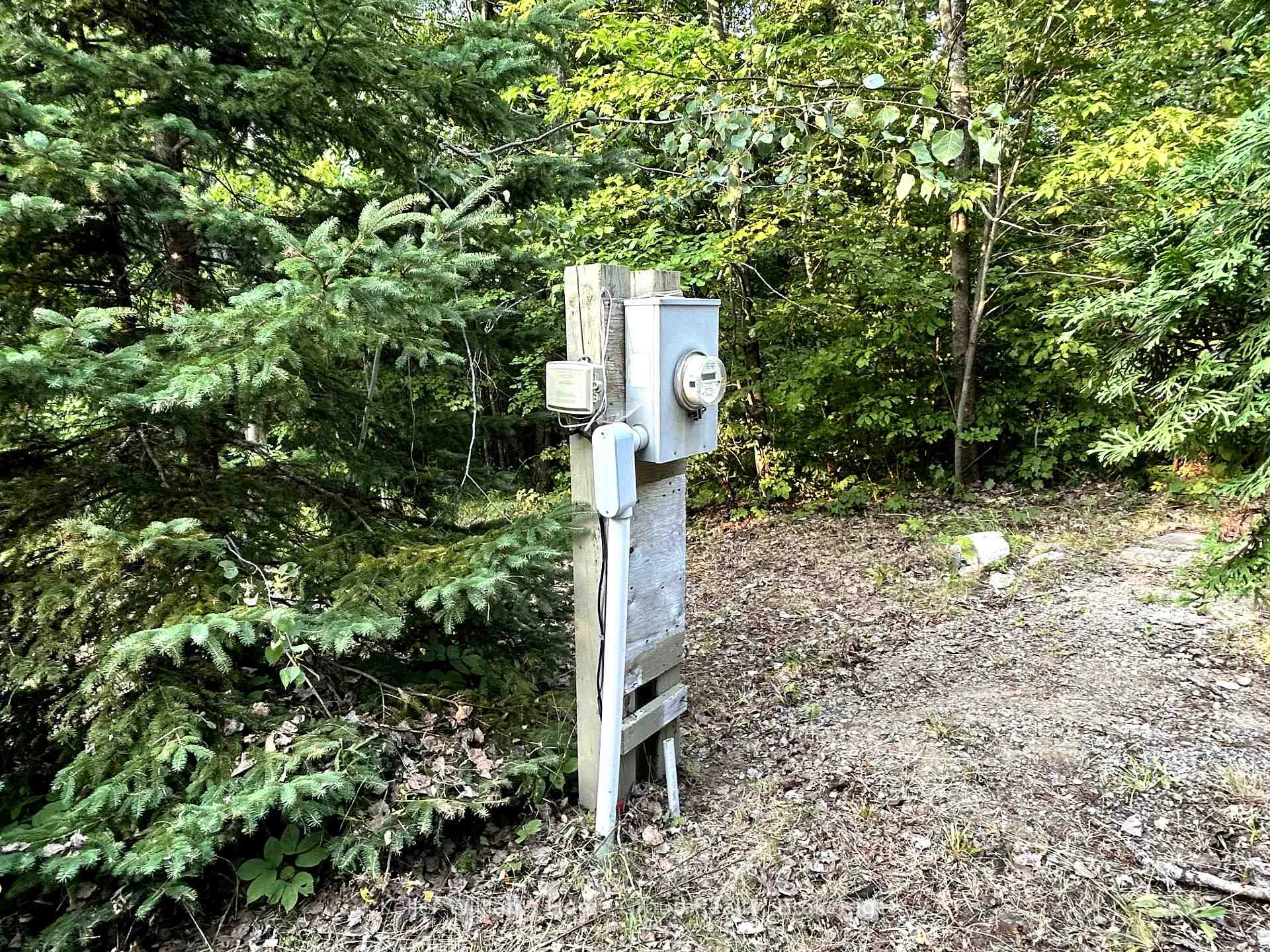 Photo 3 of 565 Moxam Road, Hastings Highlands, Monteagle Ward — HOMEH