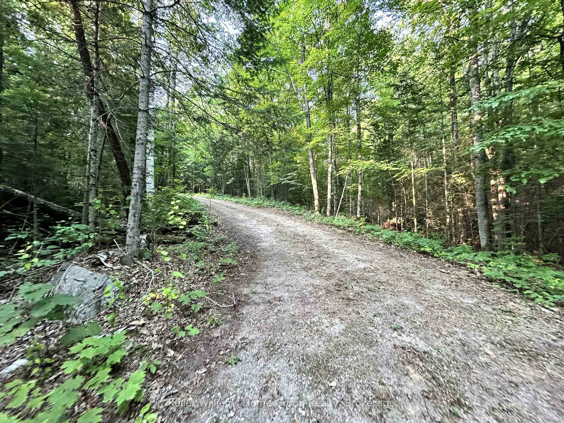 Photo 5 of 565 Moxam Road, Hastings Highlands, Monteagle Ward — HOMEH