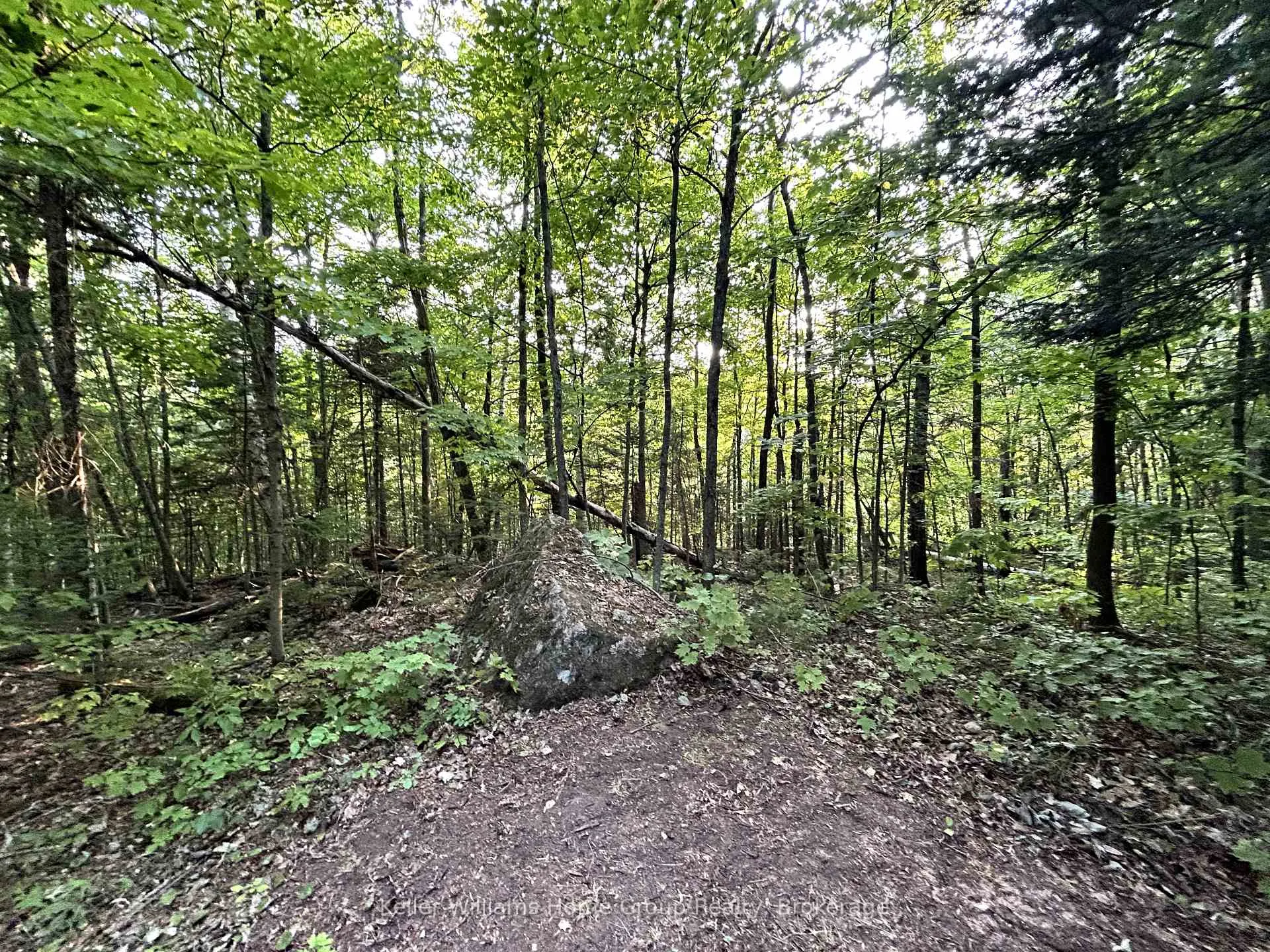 Photo 8 of 565 Moxam Road, Hastings Highlands, Monteagle Ward — HOMEH