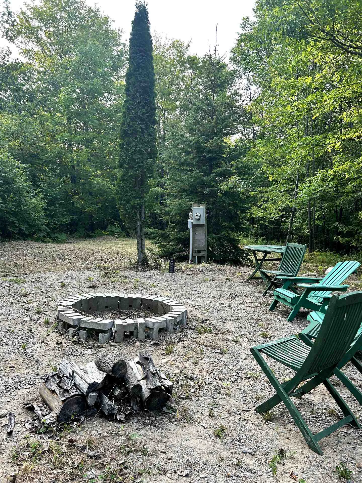Photo 9 of 565 Moxam Road, Hastings Highlands, Monteagle Ward — HOMEH