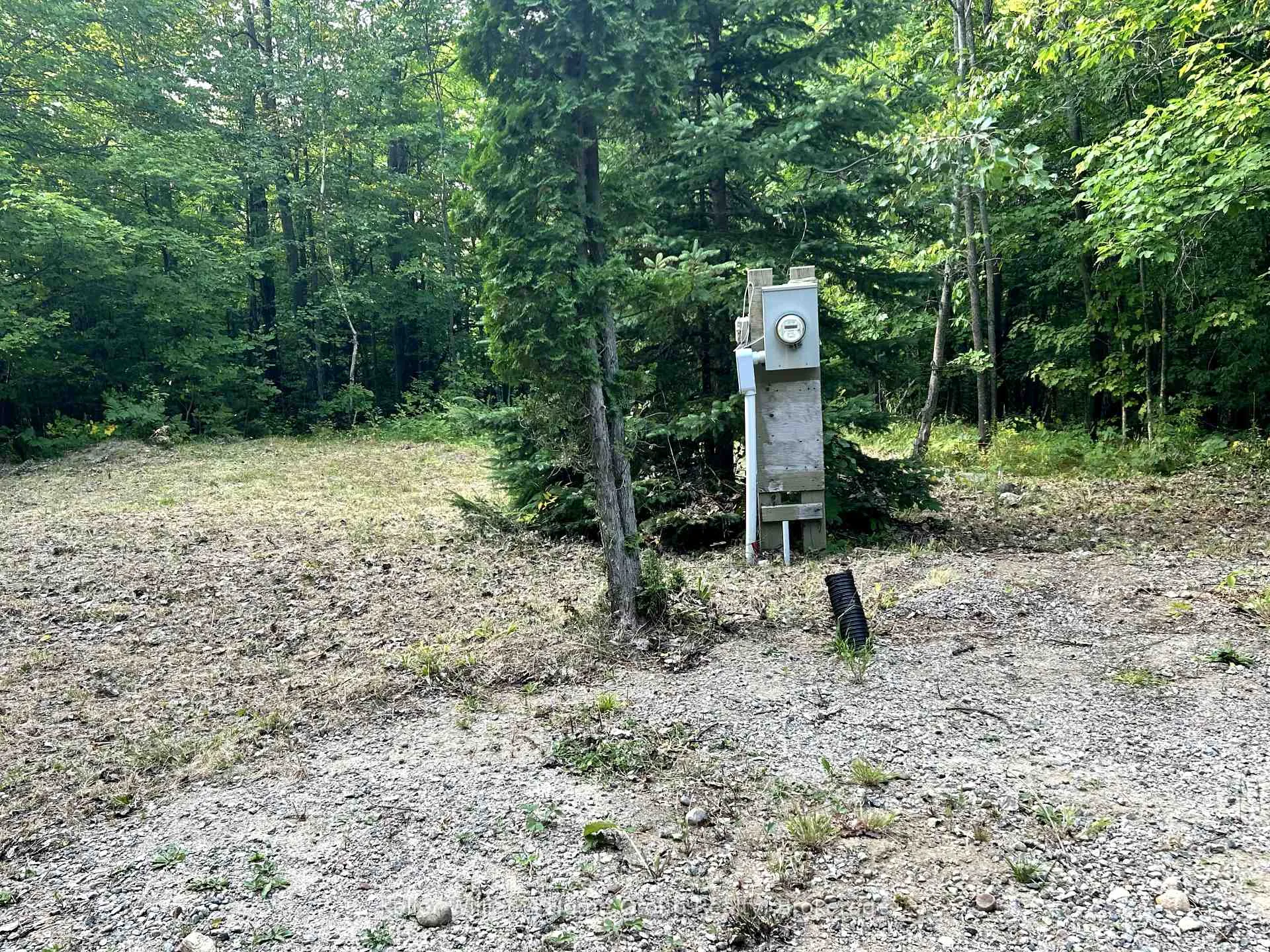 Photo 10 of 565 Moxam Road, Hastings Highlands, Monteagle Ward — HOMEH