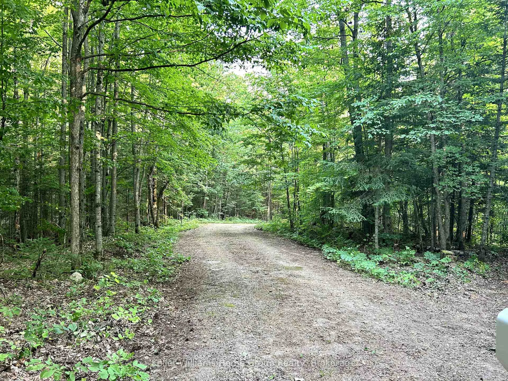 Photo 14 of 565 Moxam Road, Hastings Highlands, Monteagle Ward — HOMEH