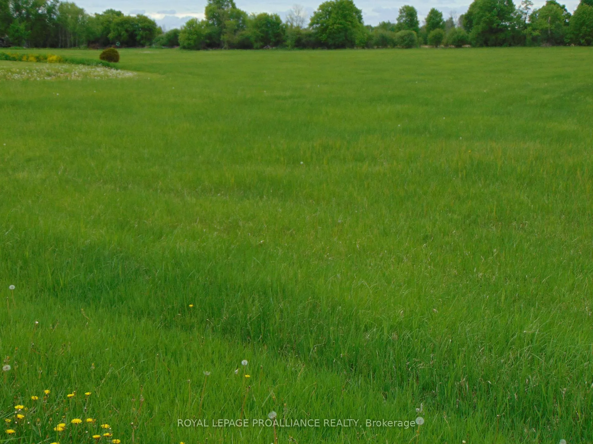 Photo 3 of County Road 15 SE, Augusta, Augusta Twp — HOMEH