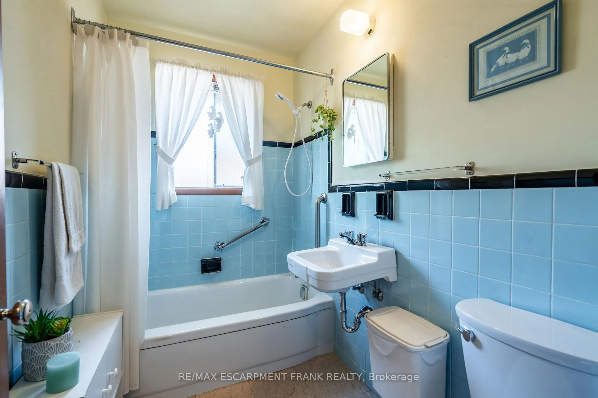 Photo 25 of 218 Bowman Street, Hamilton, Ainslie Wood — HOMEH