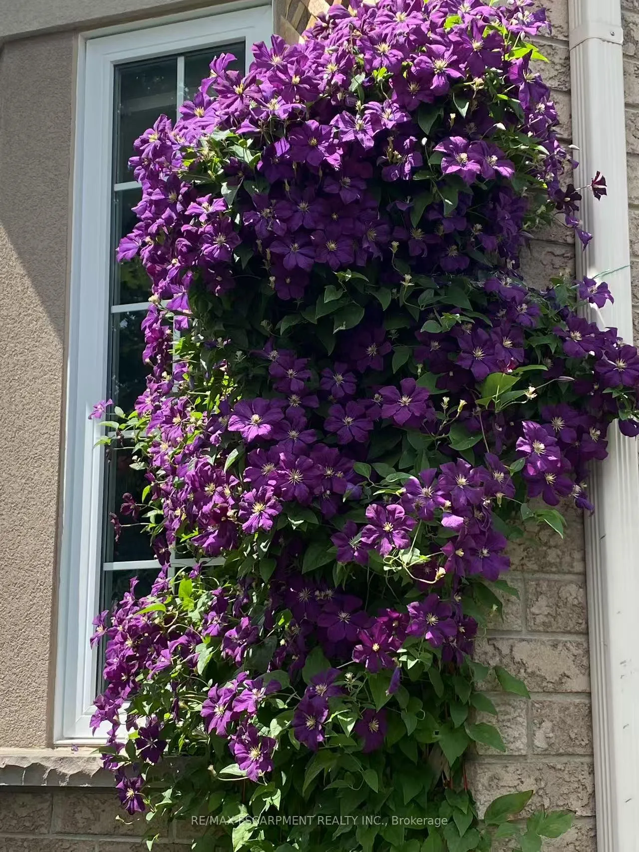 Photo 39 of 67 Ferris Drive, Wellesley — HOMEH