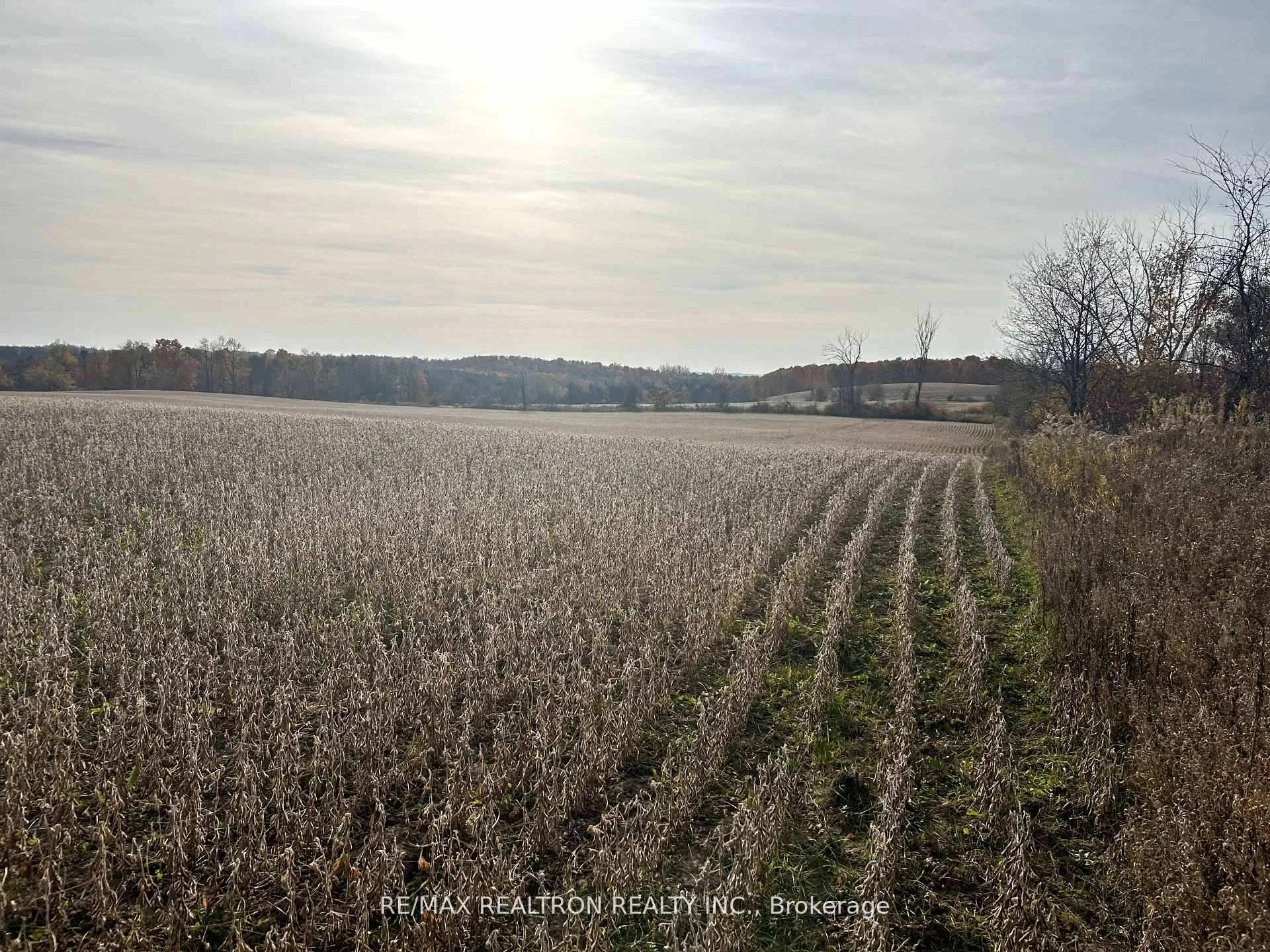 Photo 36 of 833160 4th Line, Mono, Rural Mono — HOMEH