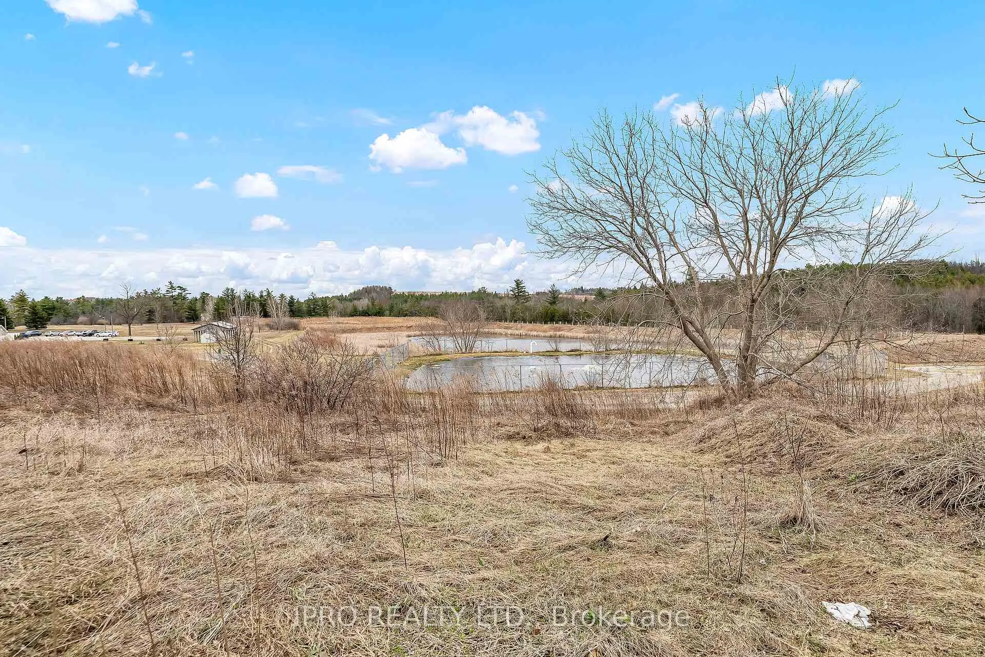 Photo 23 of 137 Maple Crescent, Hamilton, Rural Flamborough — HOMEH