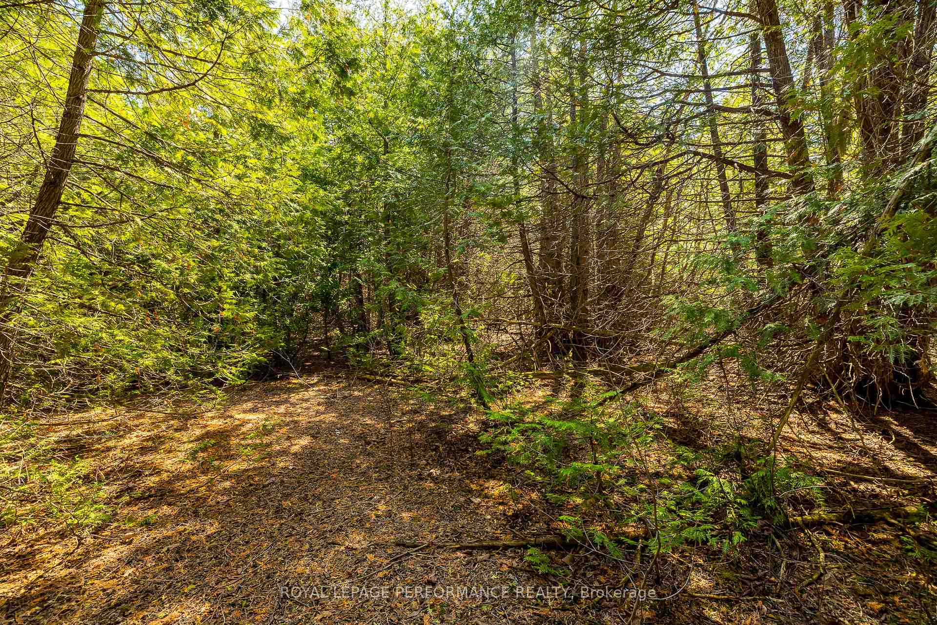 Photo 13 of 7940 Iveson Drive, Ottawa, Osgoode Twp North of Reg Rd 6 — HOMEH