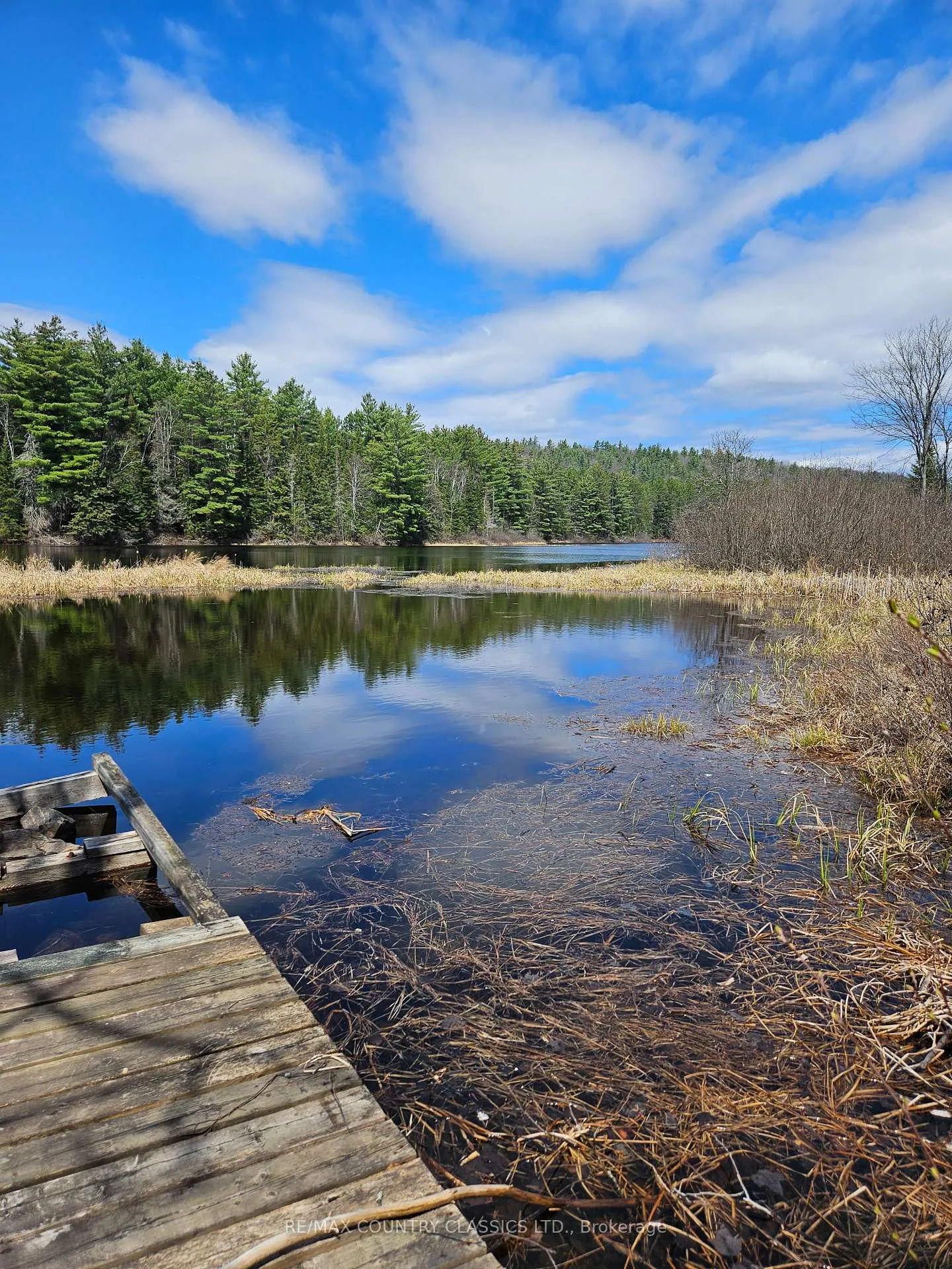 Photo 7 of 61 River Lane, South Algonquin — HOMEH