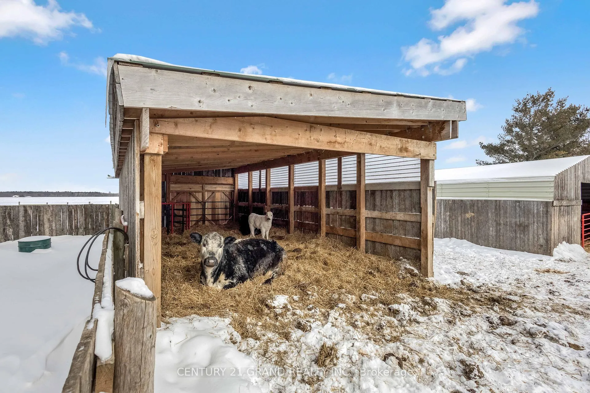 Photo 38 of 1307 Concession 3 Road, Norfolk, Townsend — HOMEH