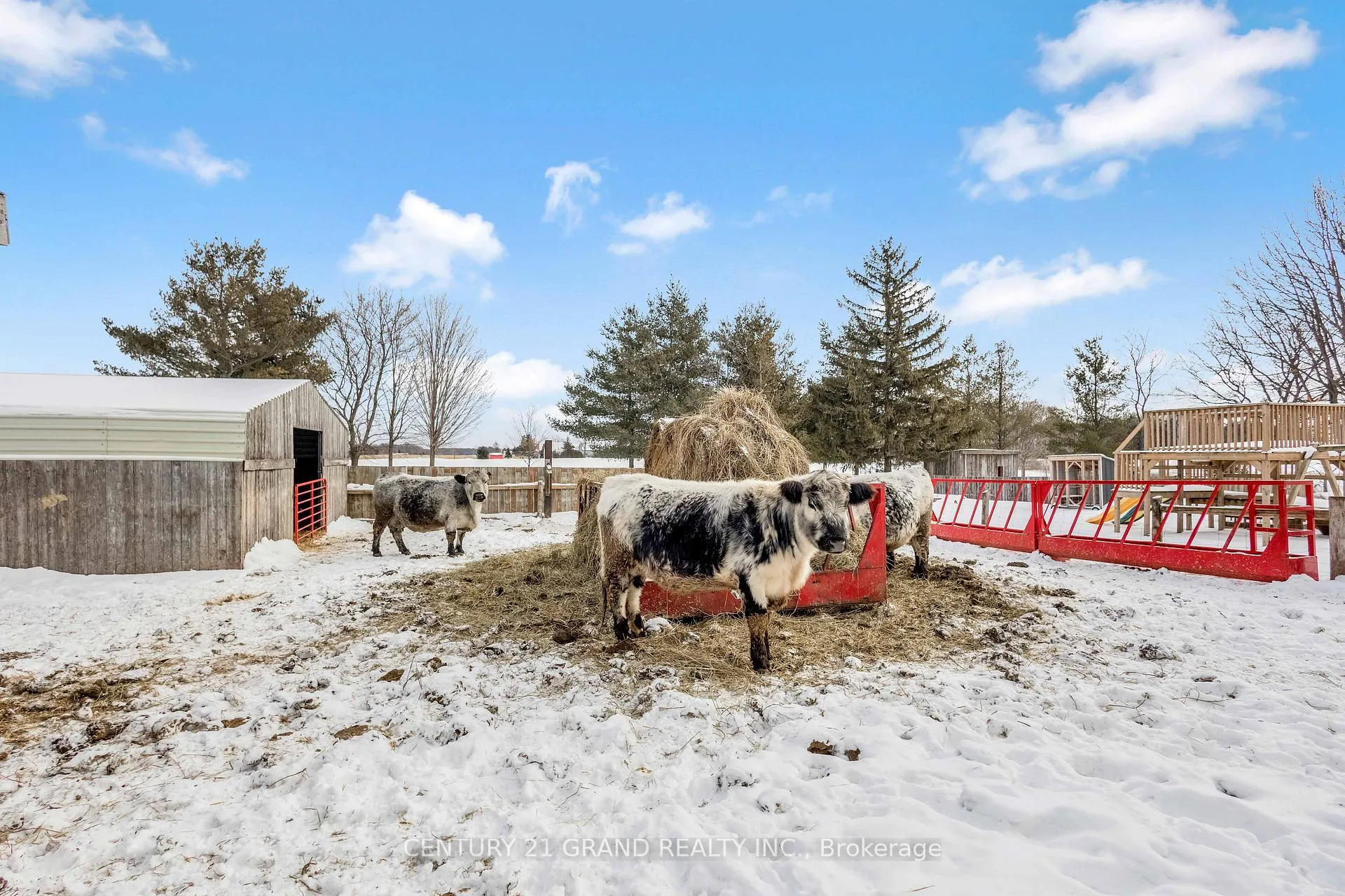 Photo 39 of 1307 Concession 3 Road, Norfolk, Townsend — HOMEH