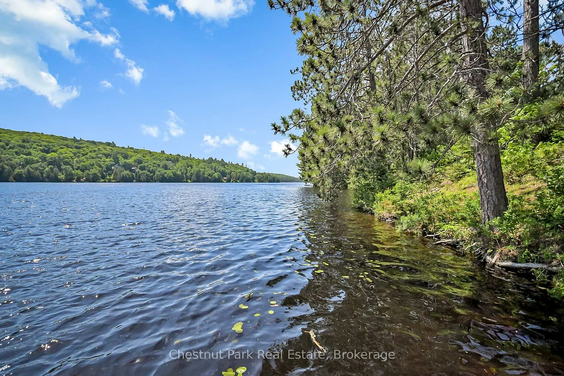 Photo 19 of 93 Lakeview Lane, Joly — HOMEH