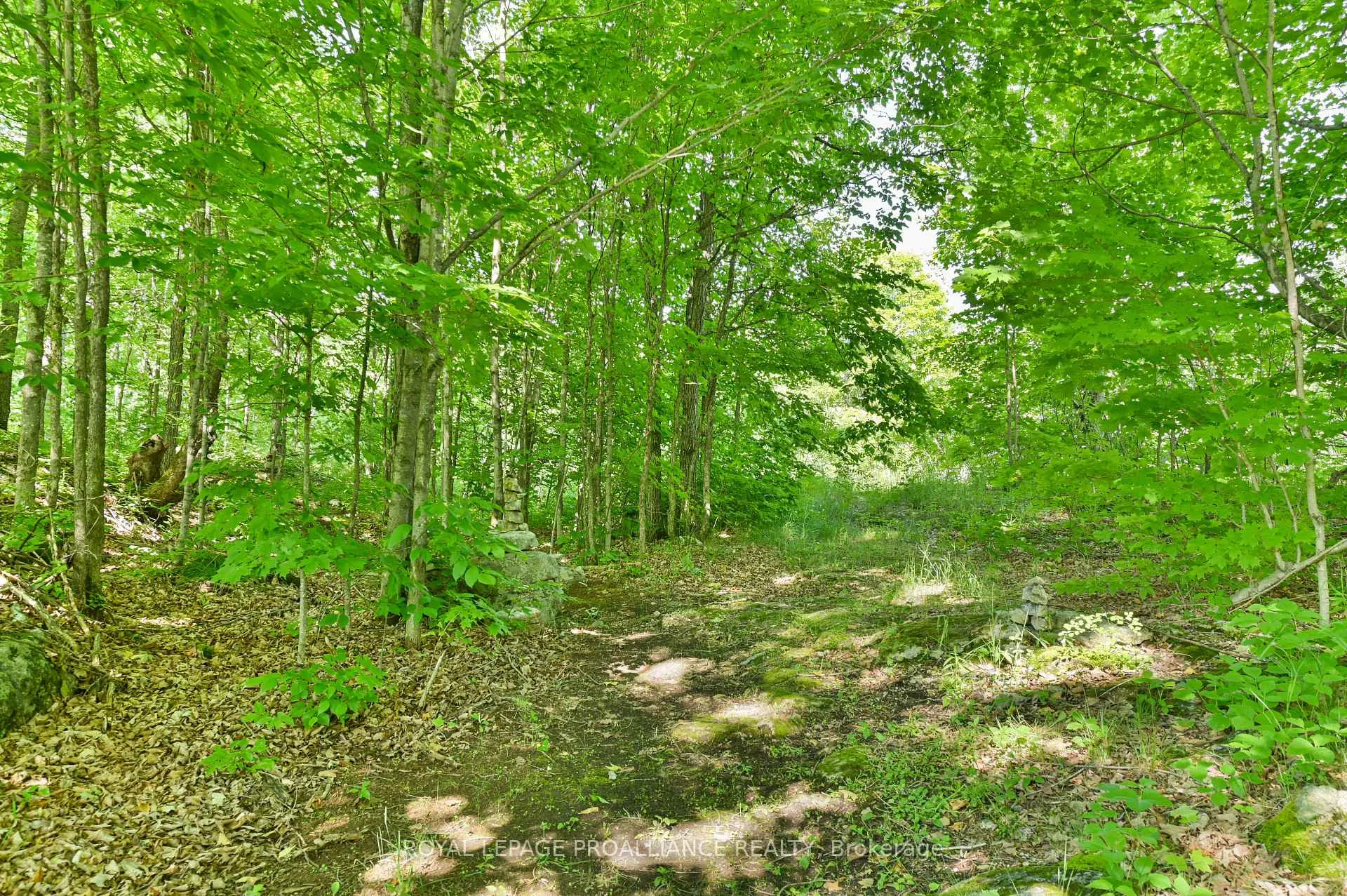 Photo 33 of 2704 Elm Tree Road, Frontenac, Frontenac Centre — HOMEH