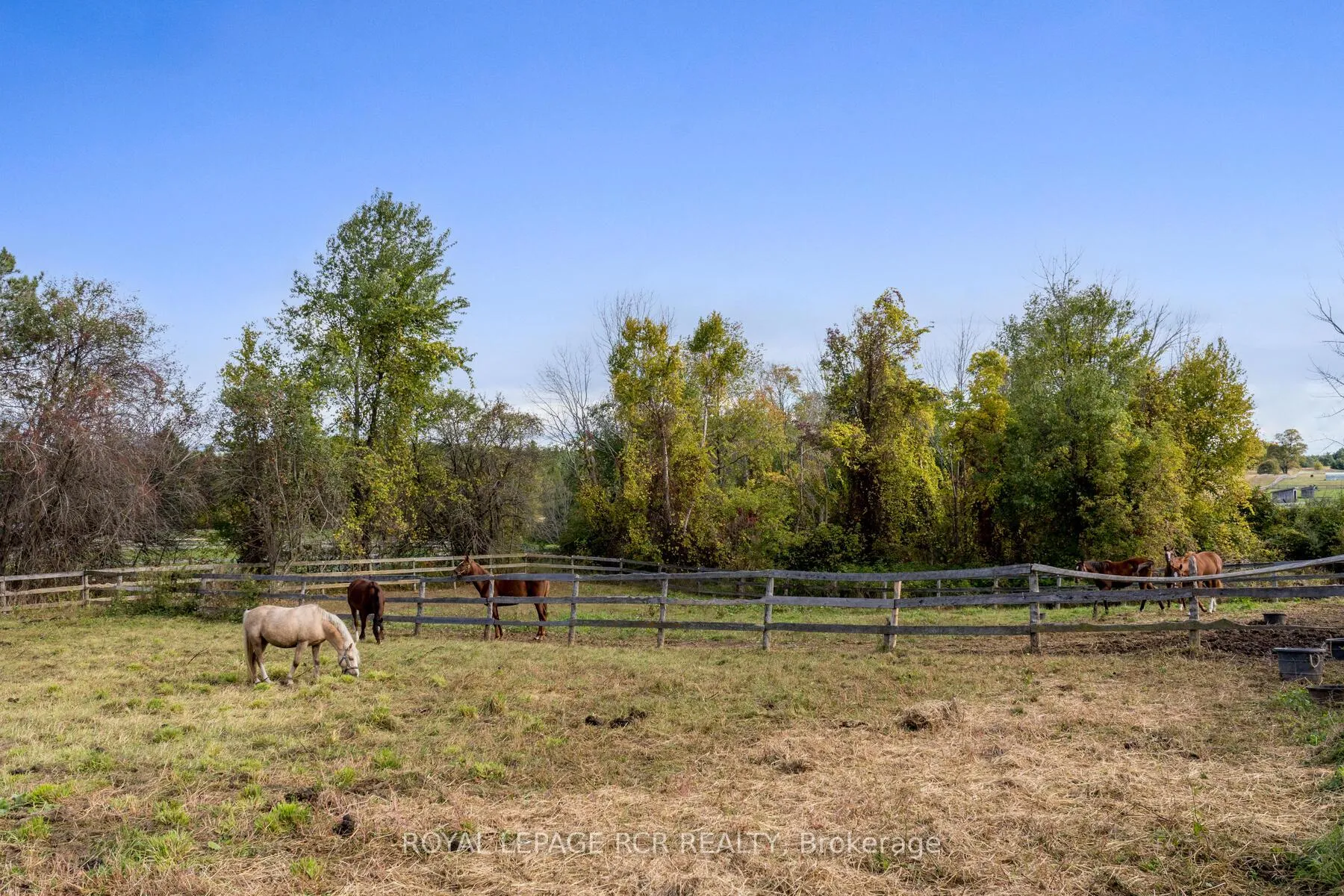 Photo 41 of 953371 7th Line, Mono, Rural Mono — HOMEH