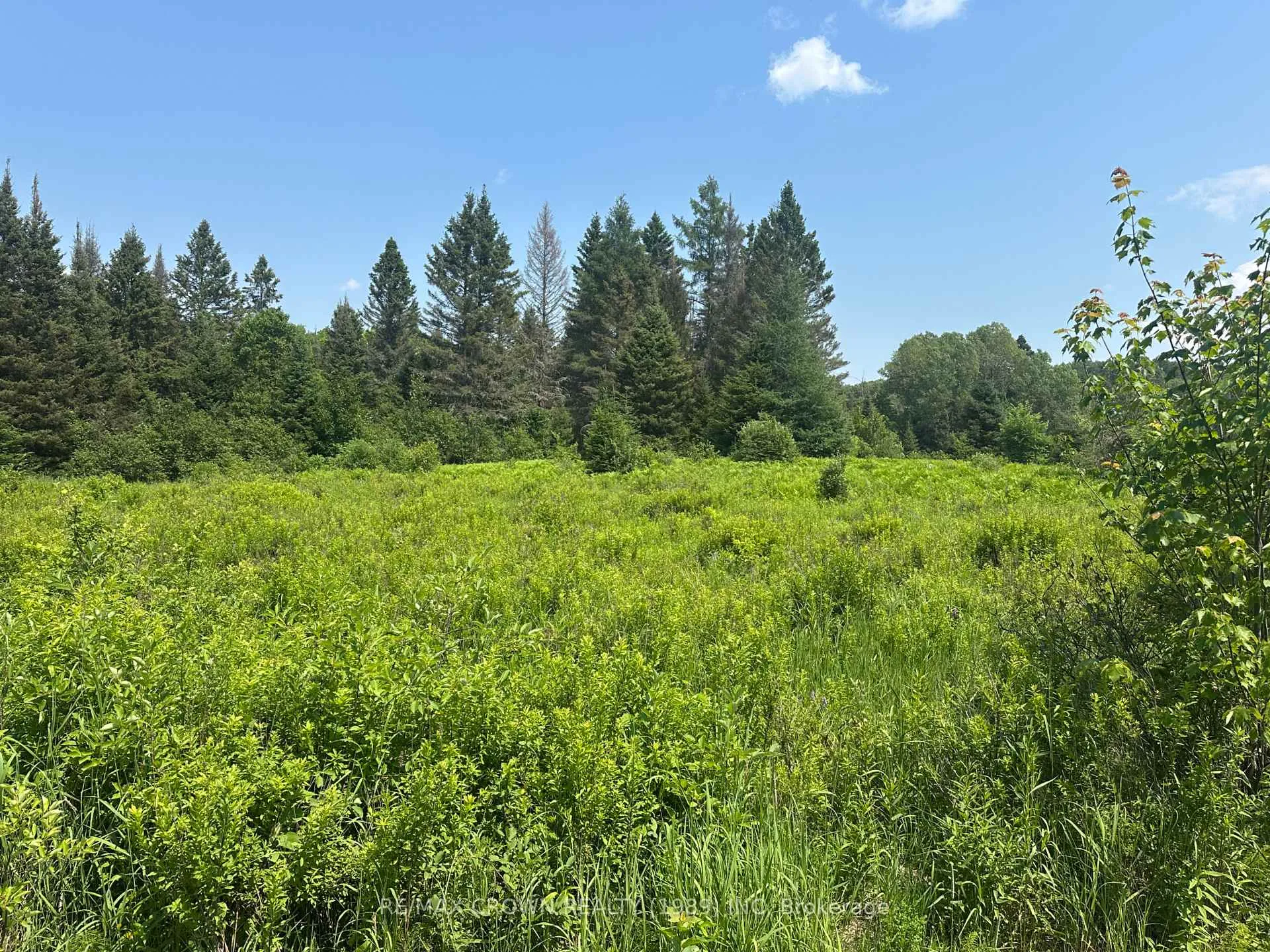 Photo 5 of PT LT 9 Line 3 Road S, Bonfield — HOMEH