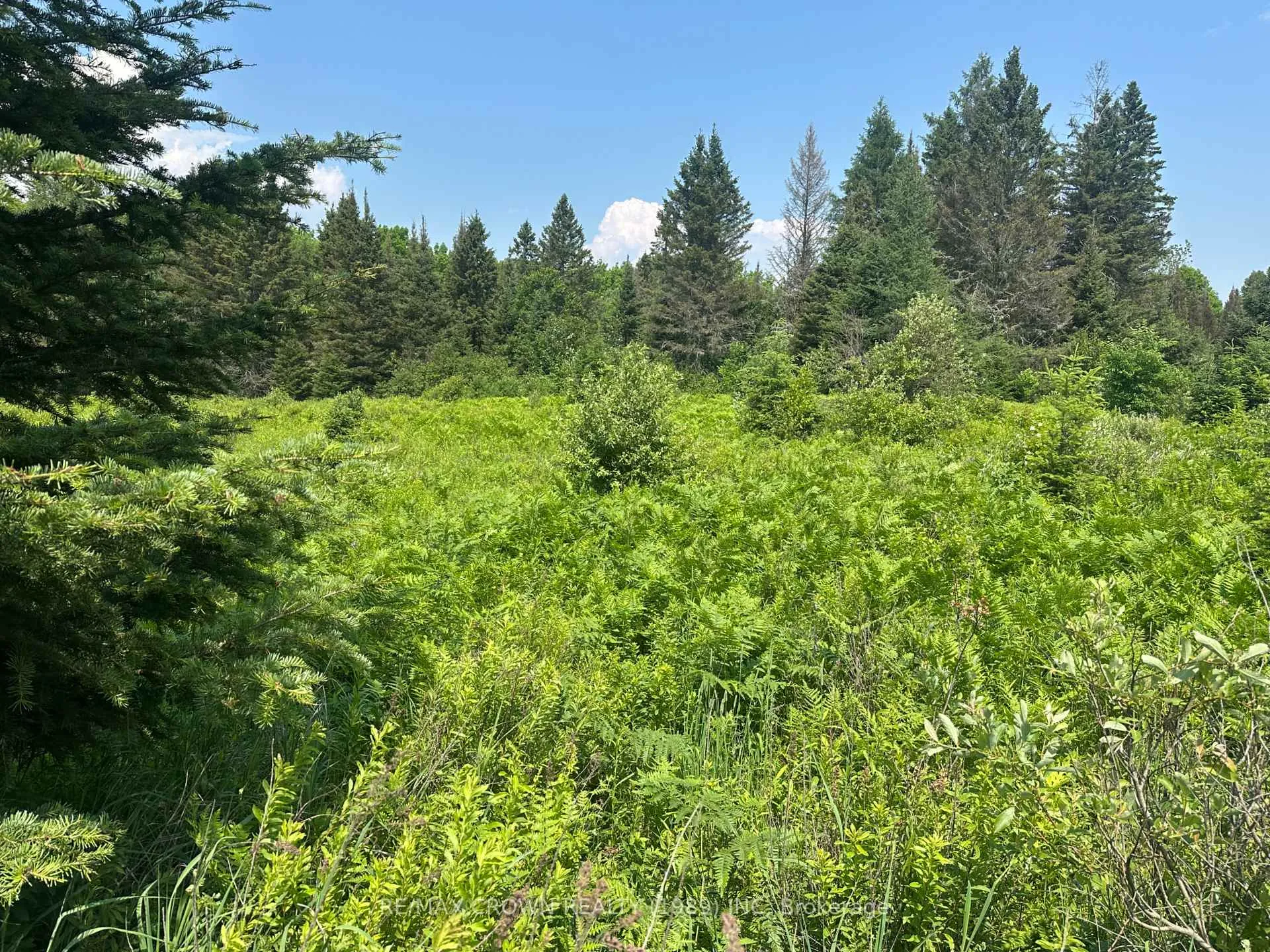 Photo 8 of PT LT 9 Line 3 Road S, Bonfield — HOMEH